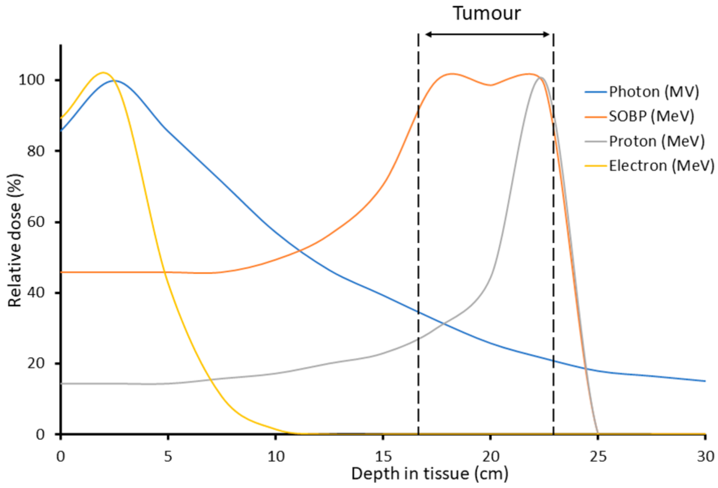 Biomolecules 12 01376 g002