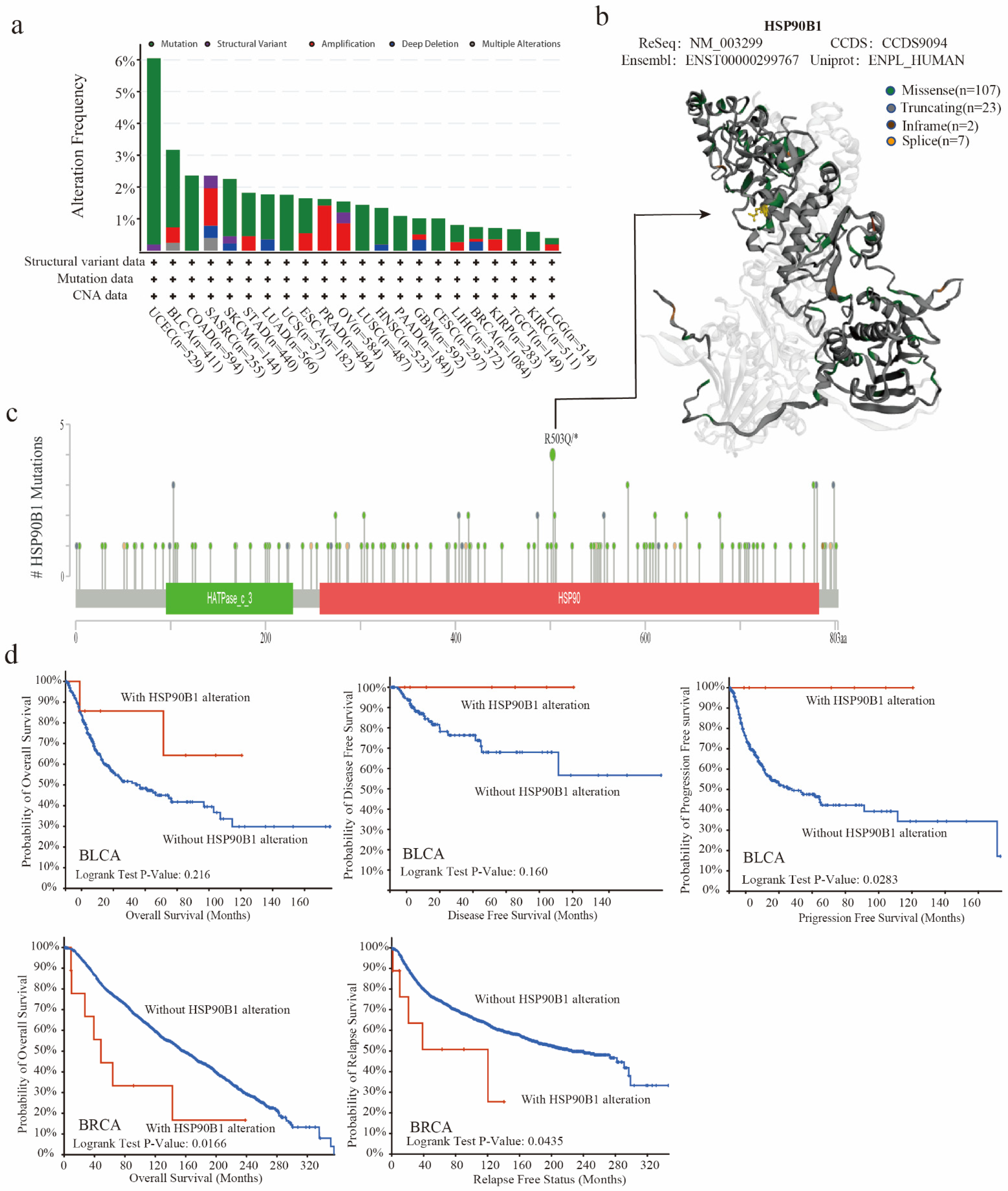 Biomolecules 12 01377 g003 Biomolecules 12 01377 g003