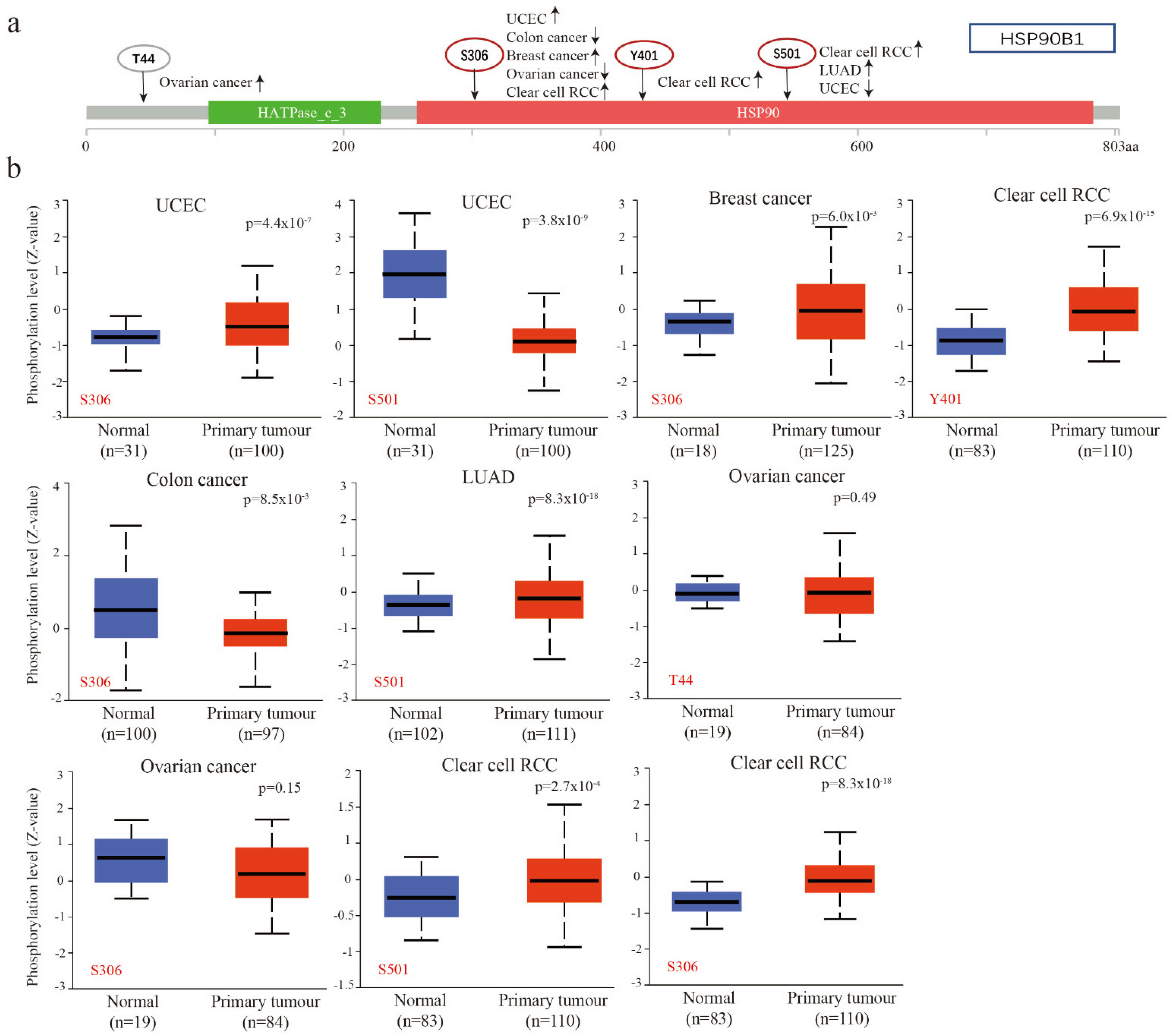 Biomolecules 12 01377 g004 Biomolecules 12 01377 g004