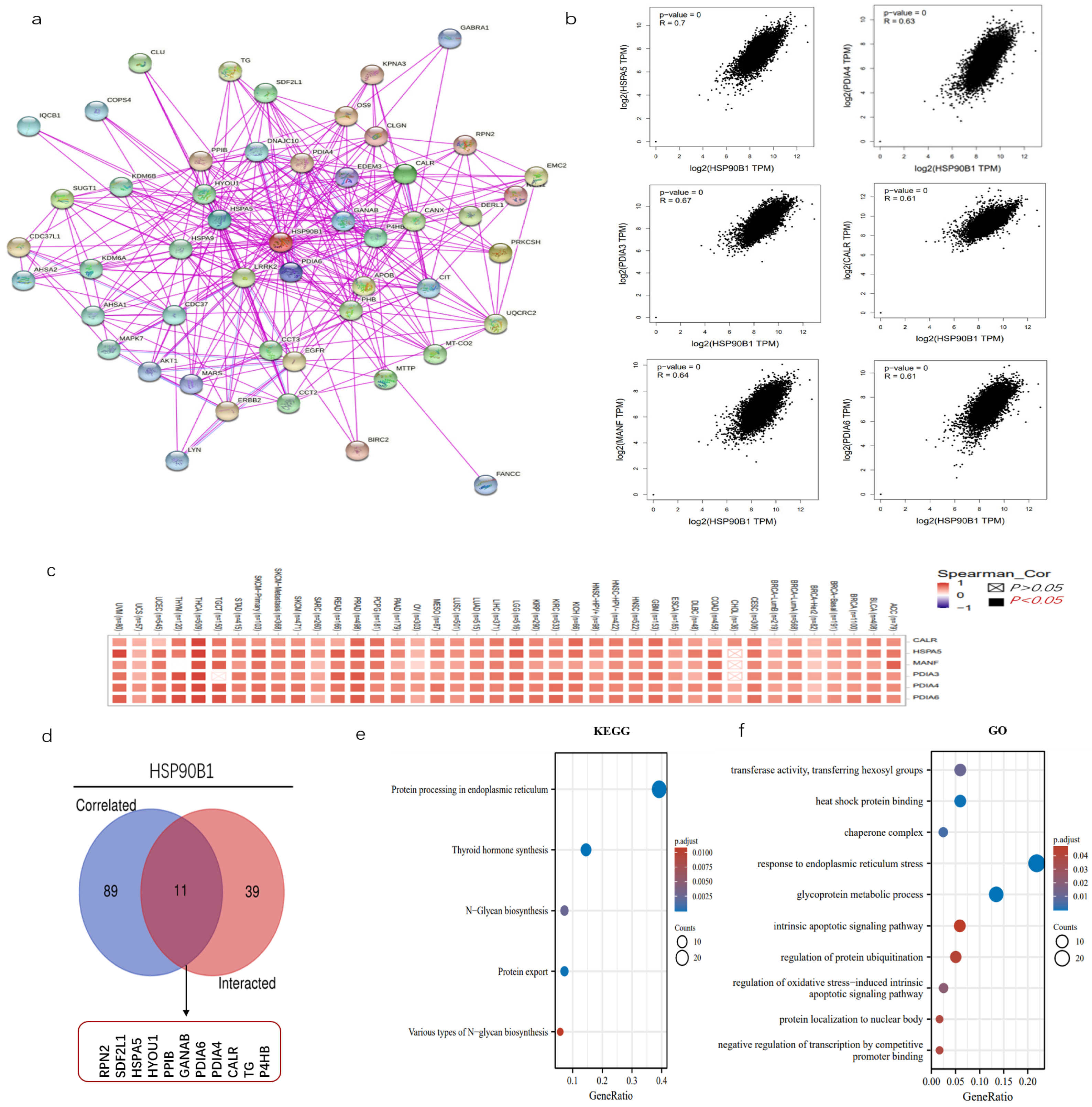 Biomolecules 12 01377 g006 Biomolecules 12 01377 g006