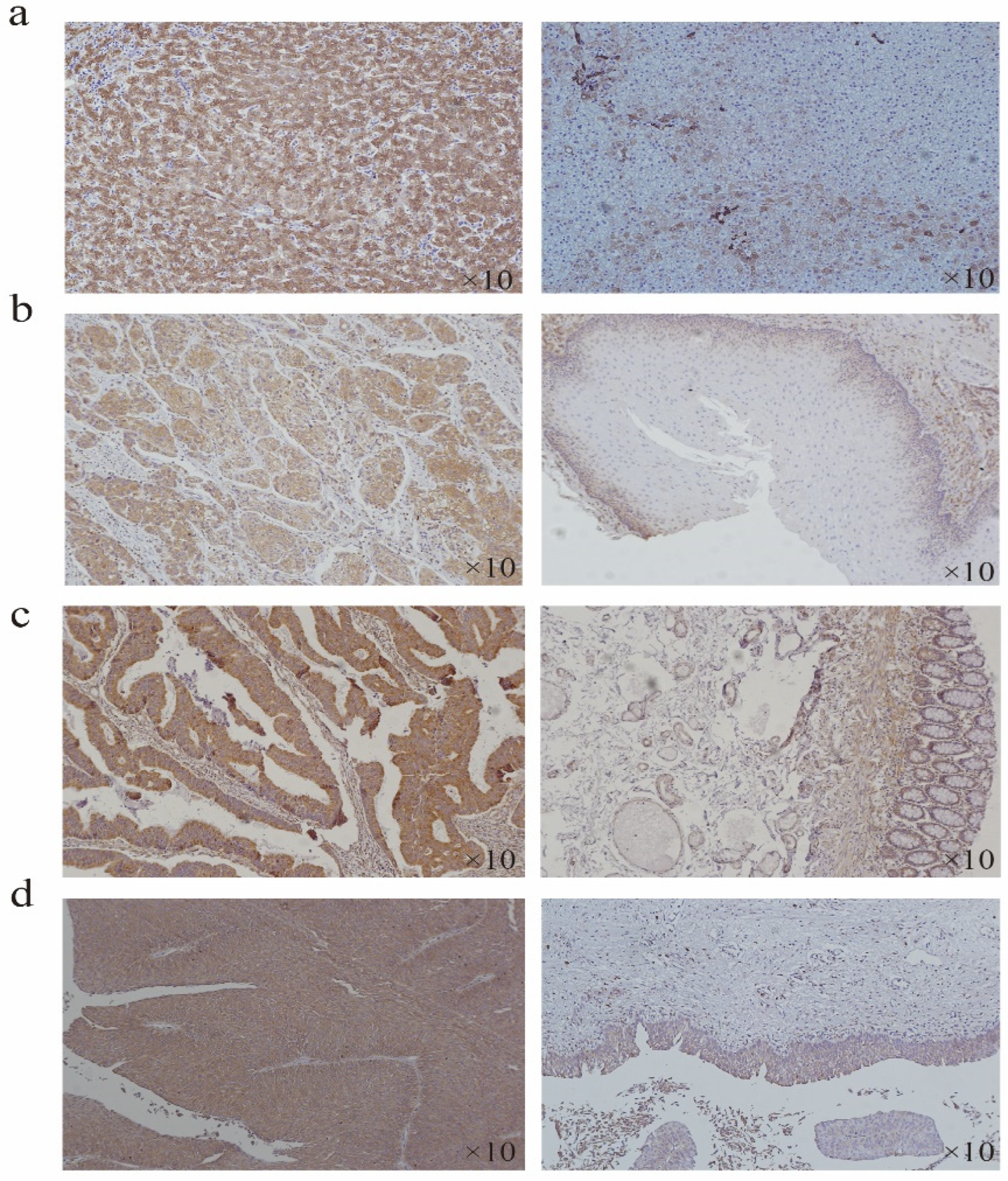 Biomolecules 12 01377 g007 Biomolecules 12 01377 g007