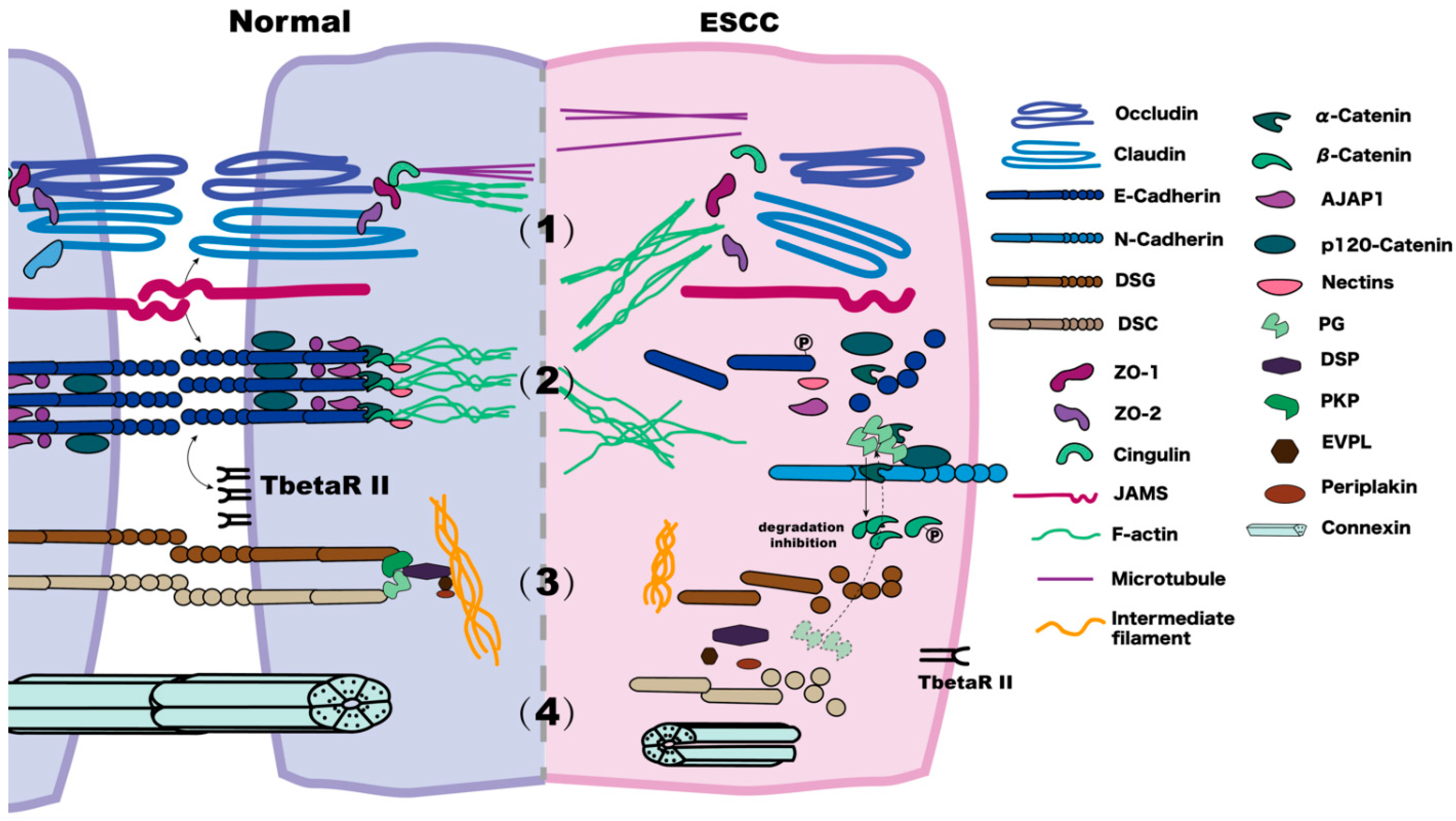 Biomolecules 12 01378 g001