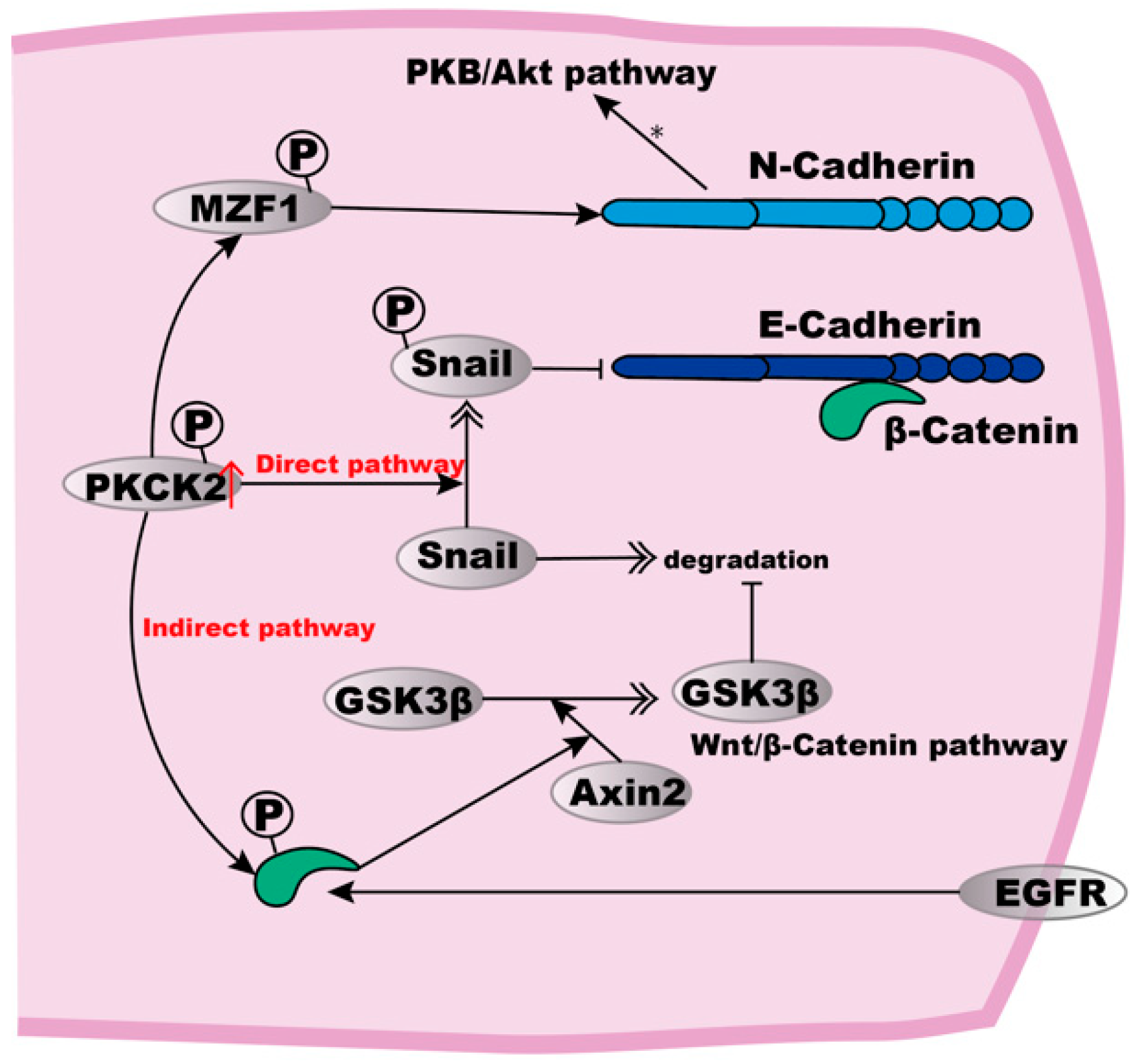Biomolecules 12 01378 g002