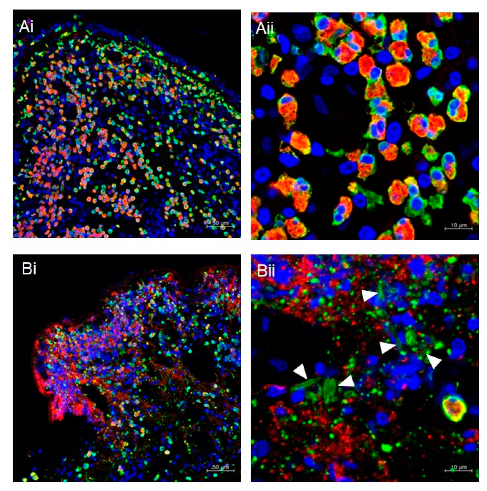Biomolecules 12 01385 g002