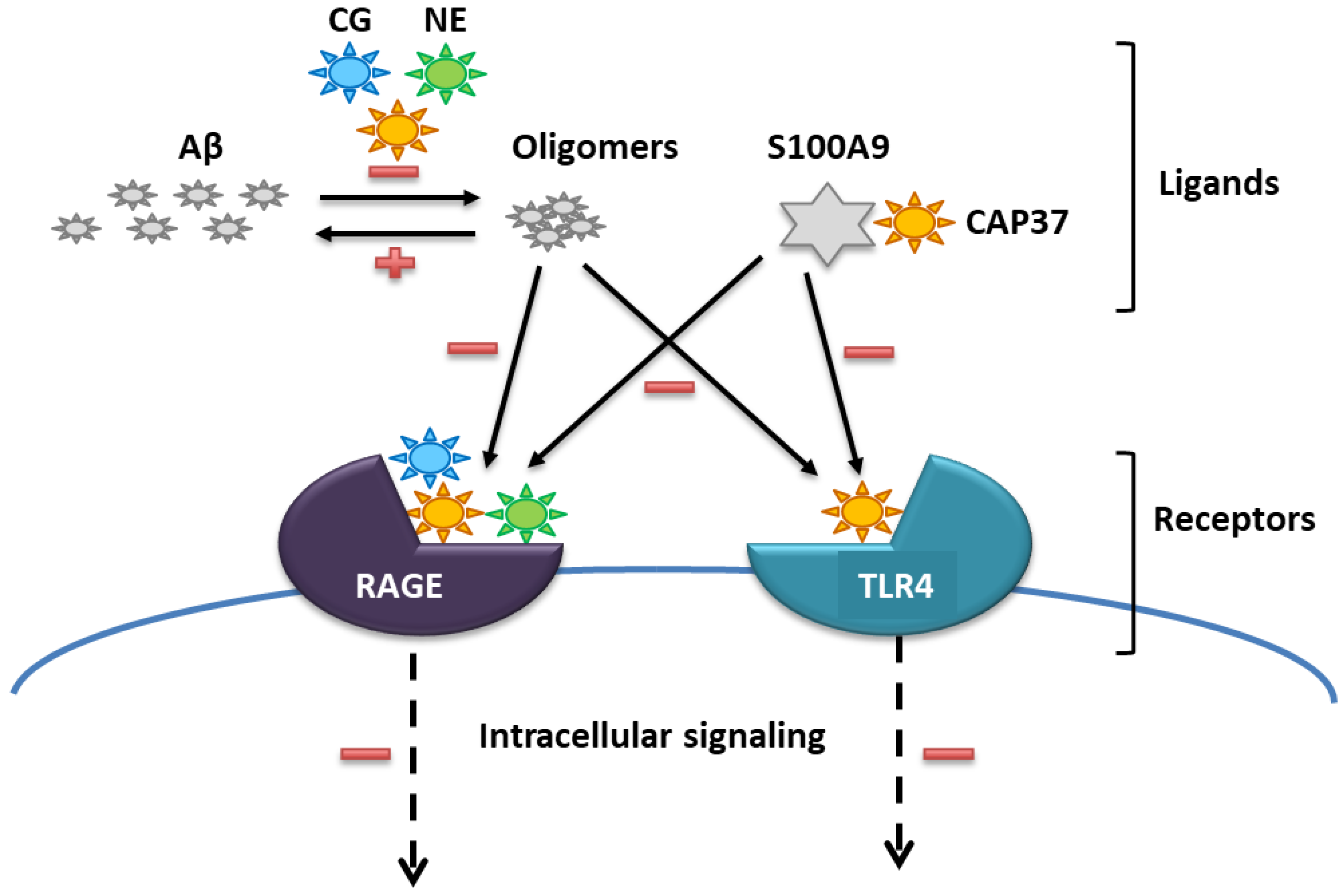 Biomolecules 12 01386 g001