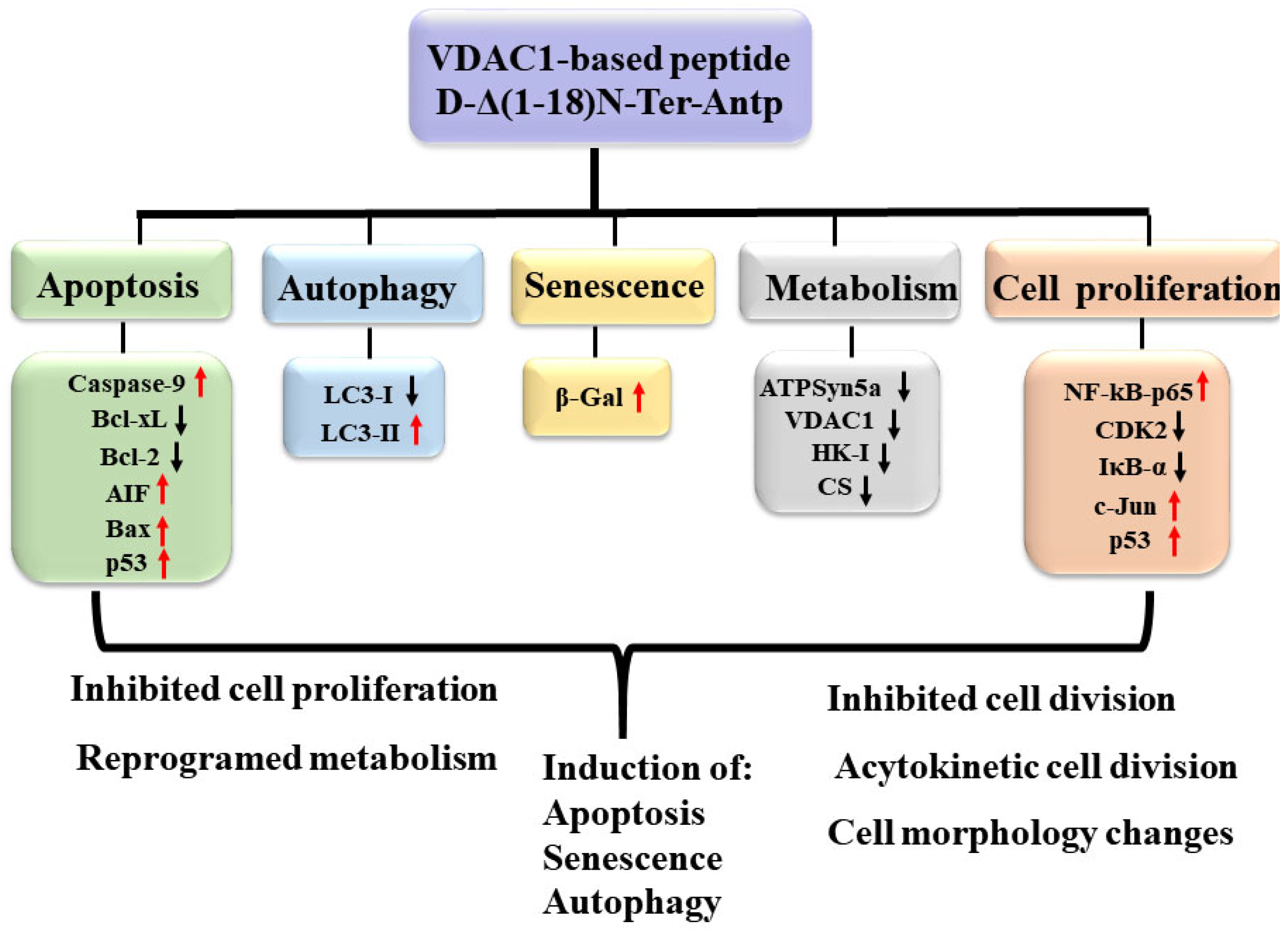Biomolecules 12 01387 g009