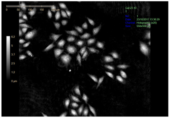 Biomolecules 12 01387 g0a1