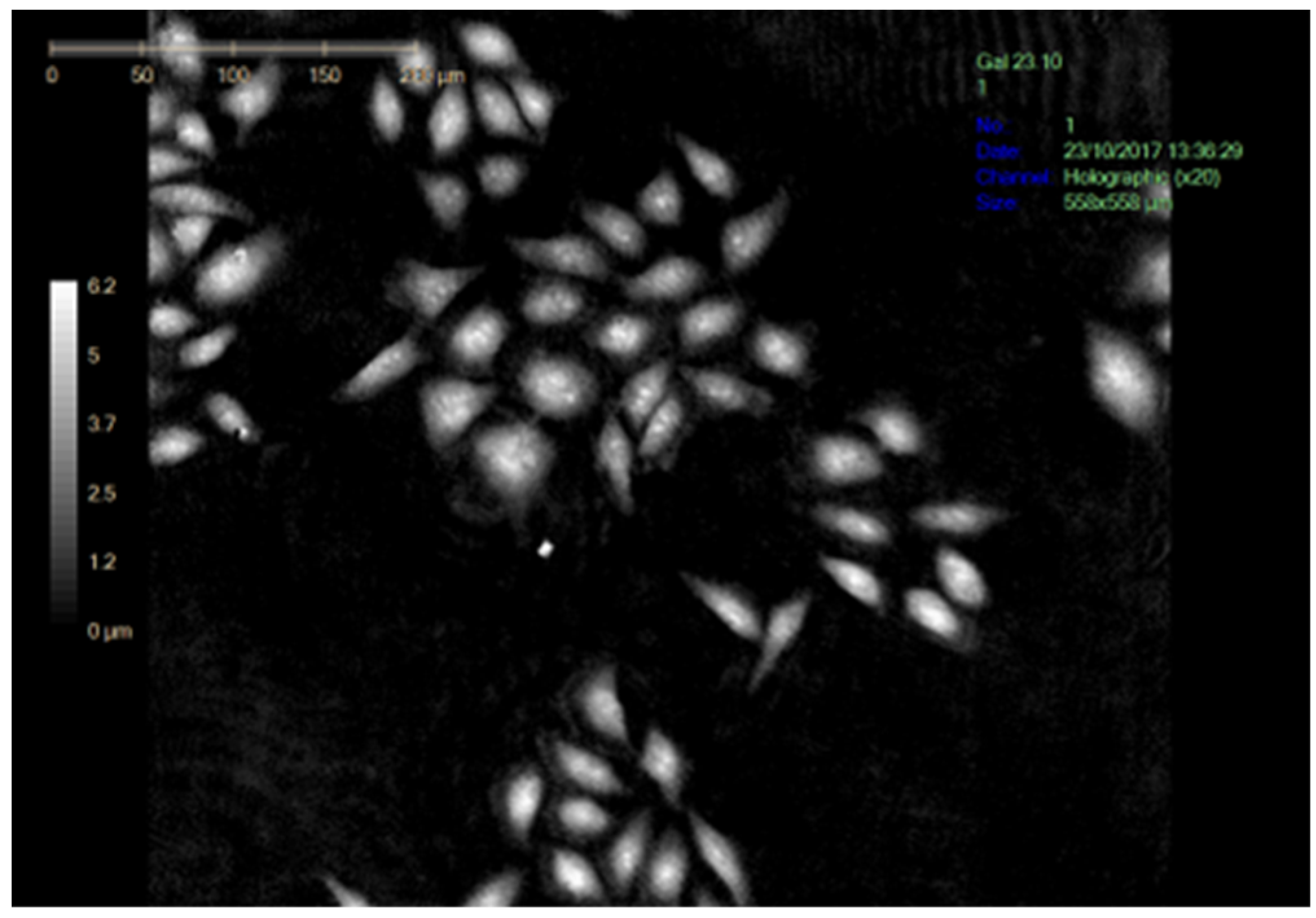 Biomolecules 12 01387 g0a1