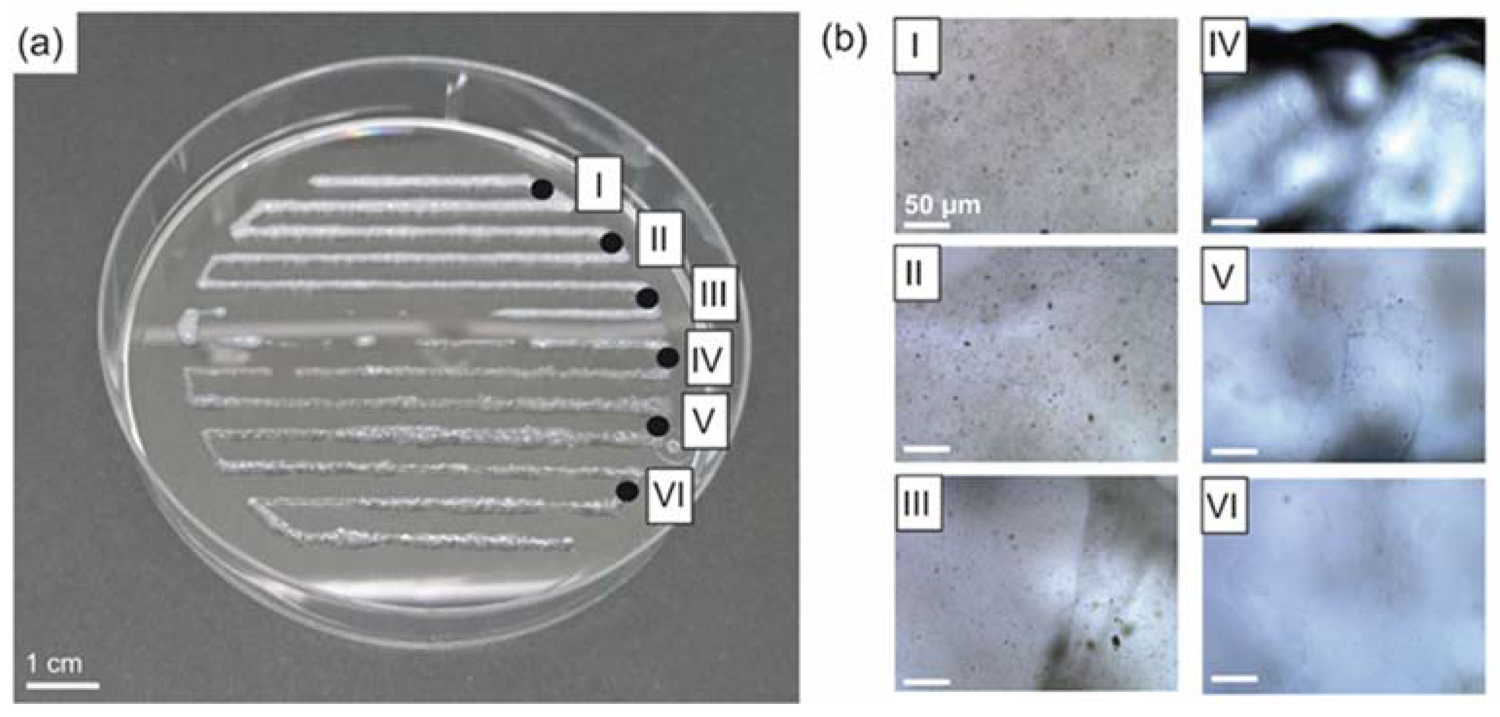 Biomolecules 12 01413 g004