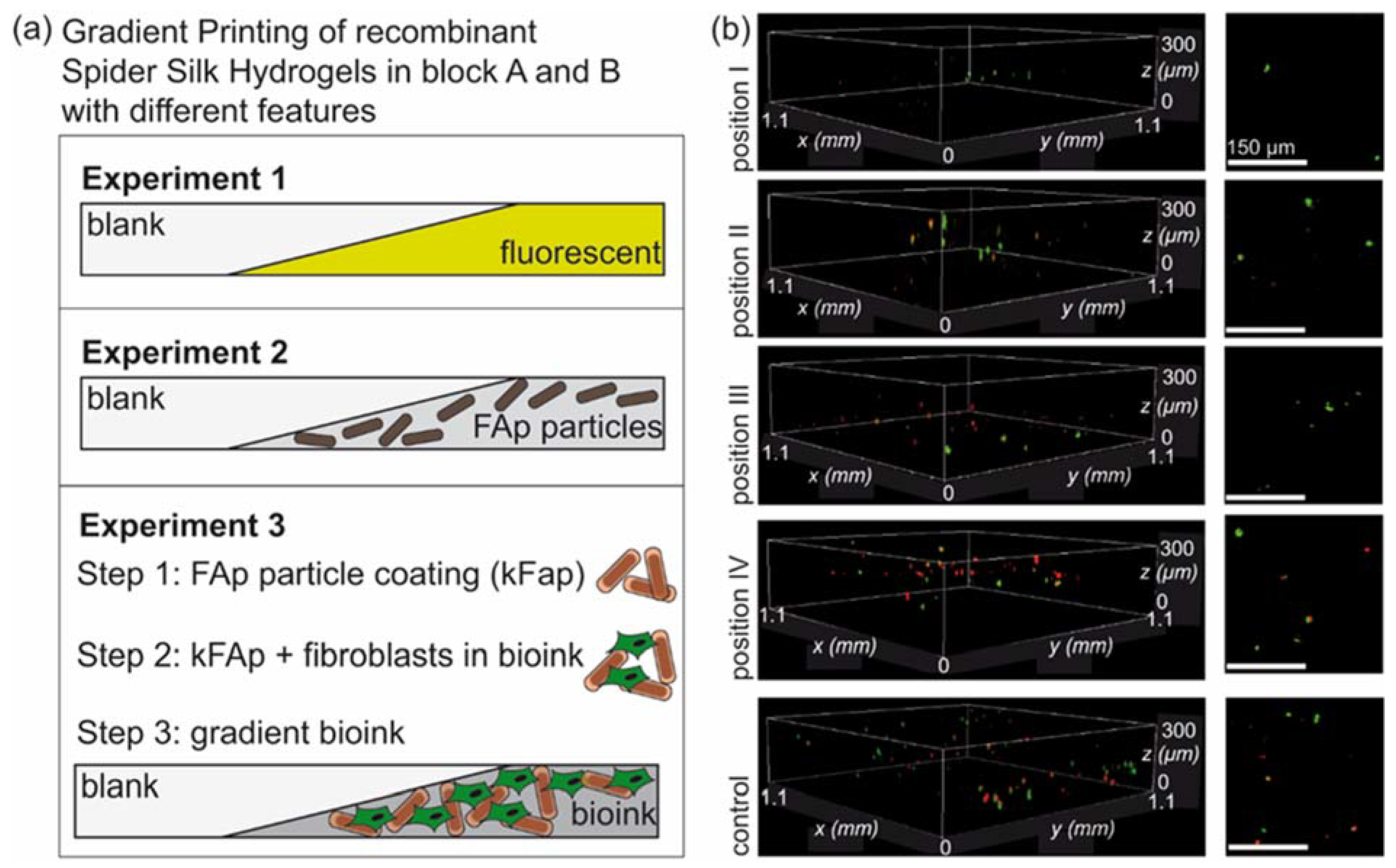 Biomolecules 12 01413 g005