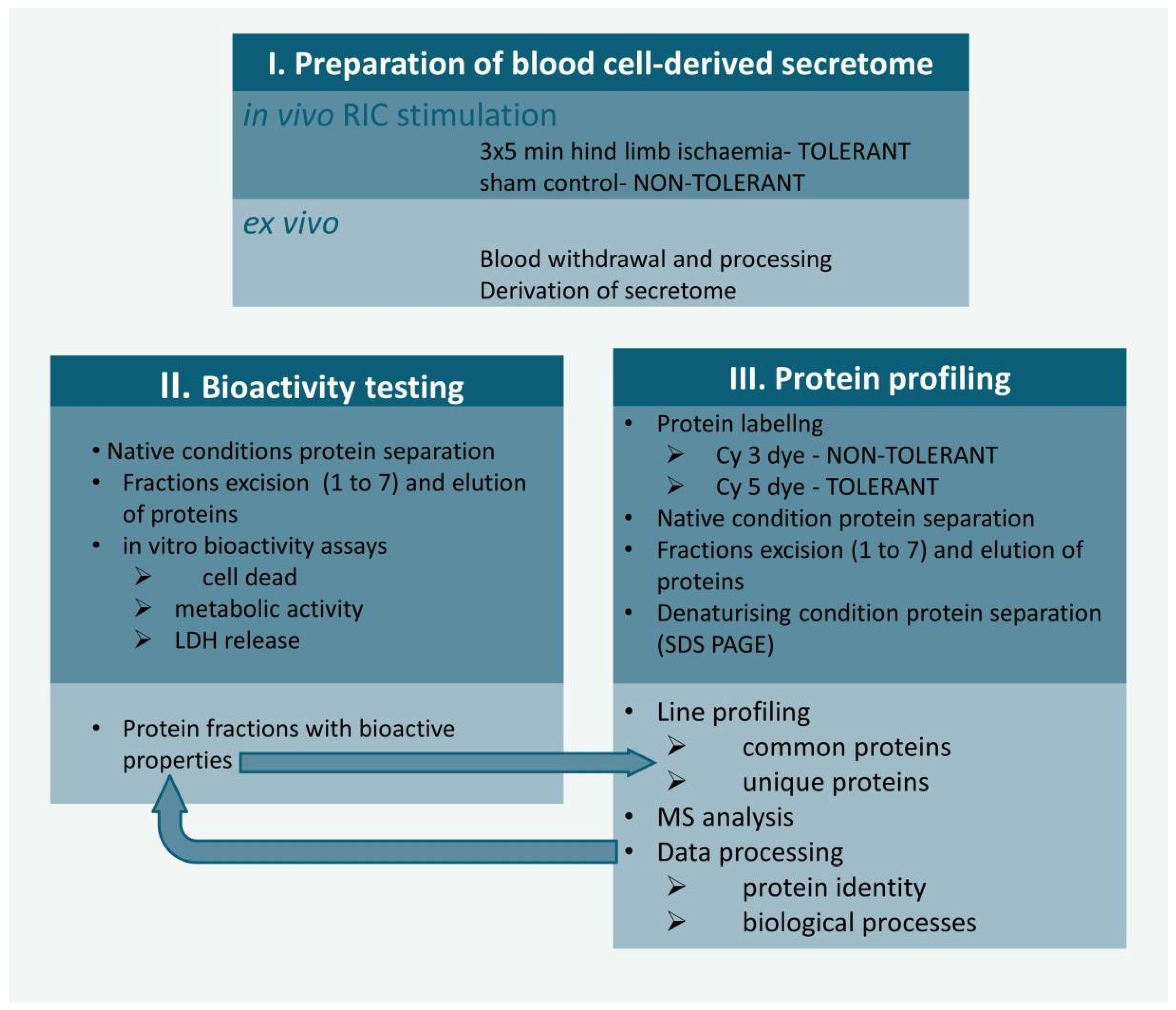 Biomolecules 12 01423 g001