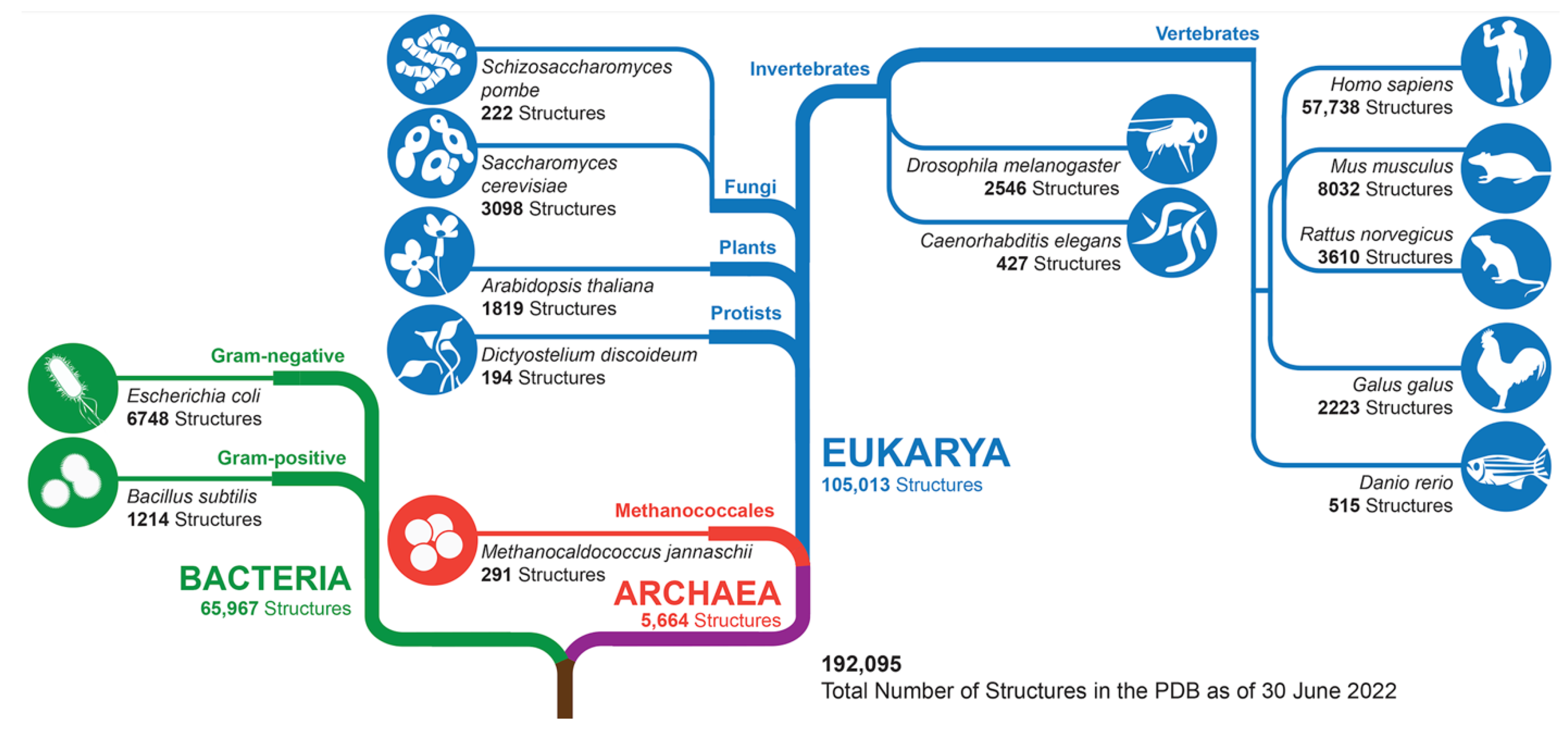 Biomolecules 12 01425 g007