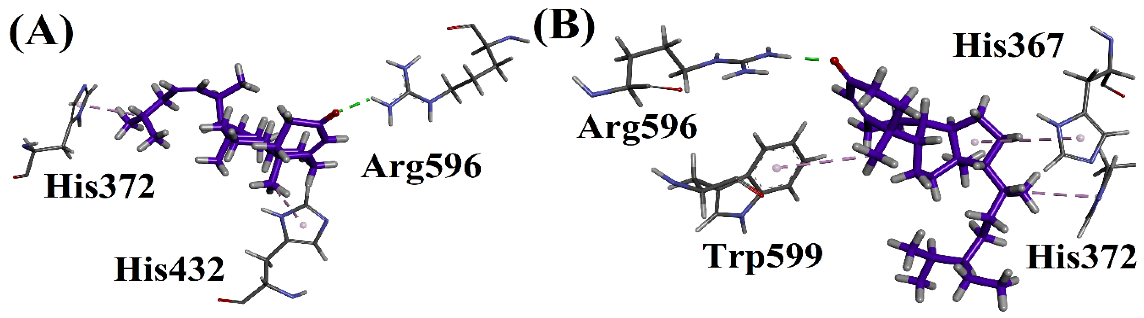 Biomolecules 12 01430 g006