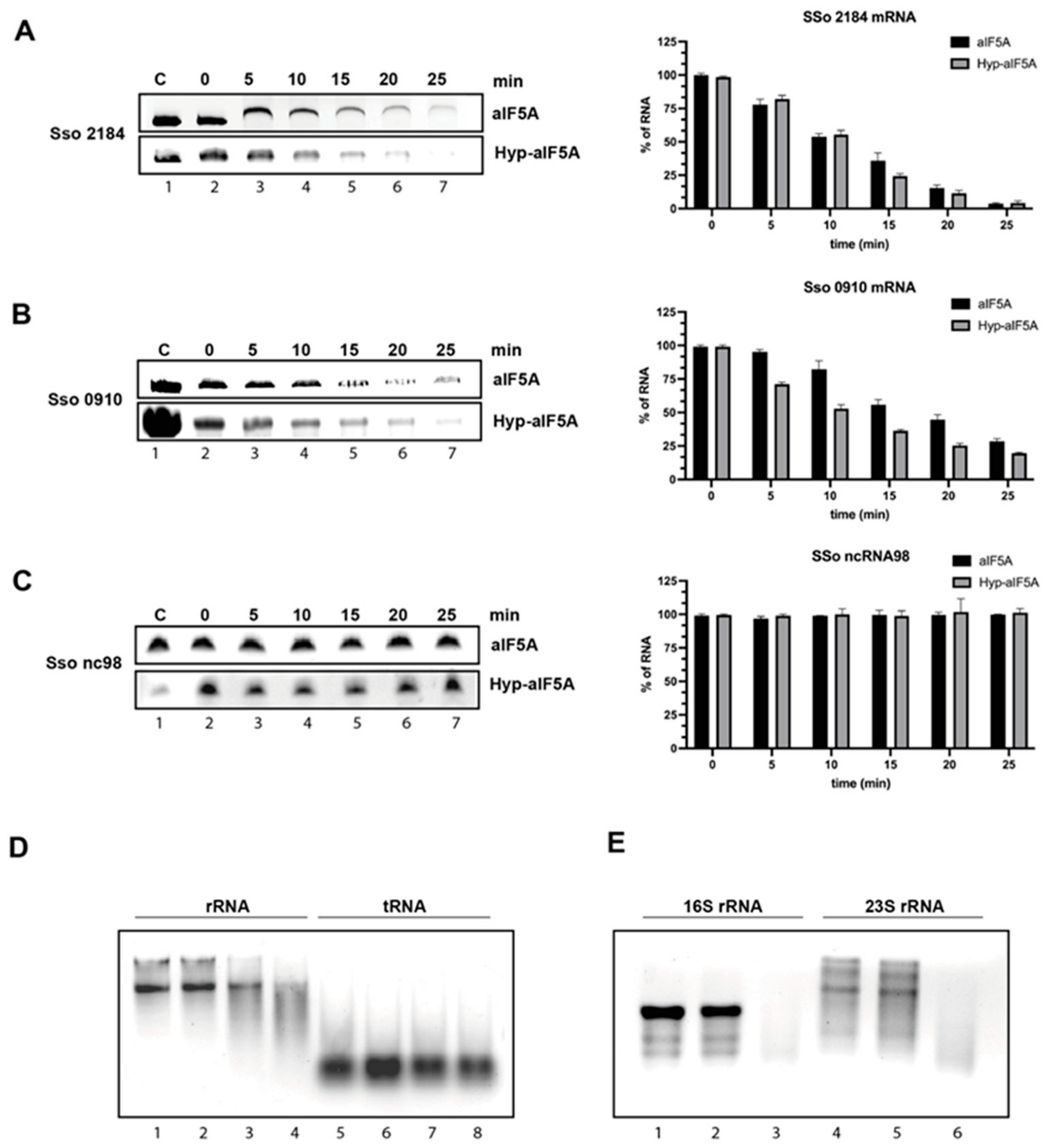 Biomolecules 12 01432 g002 Biomolecules 12 01432 g002