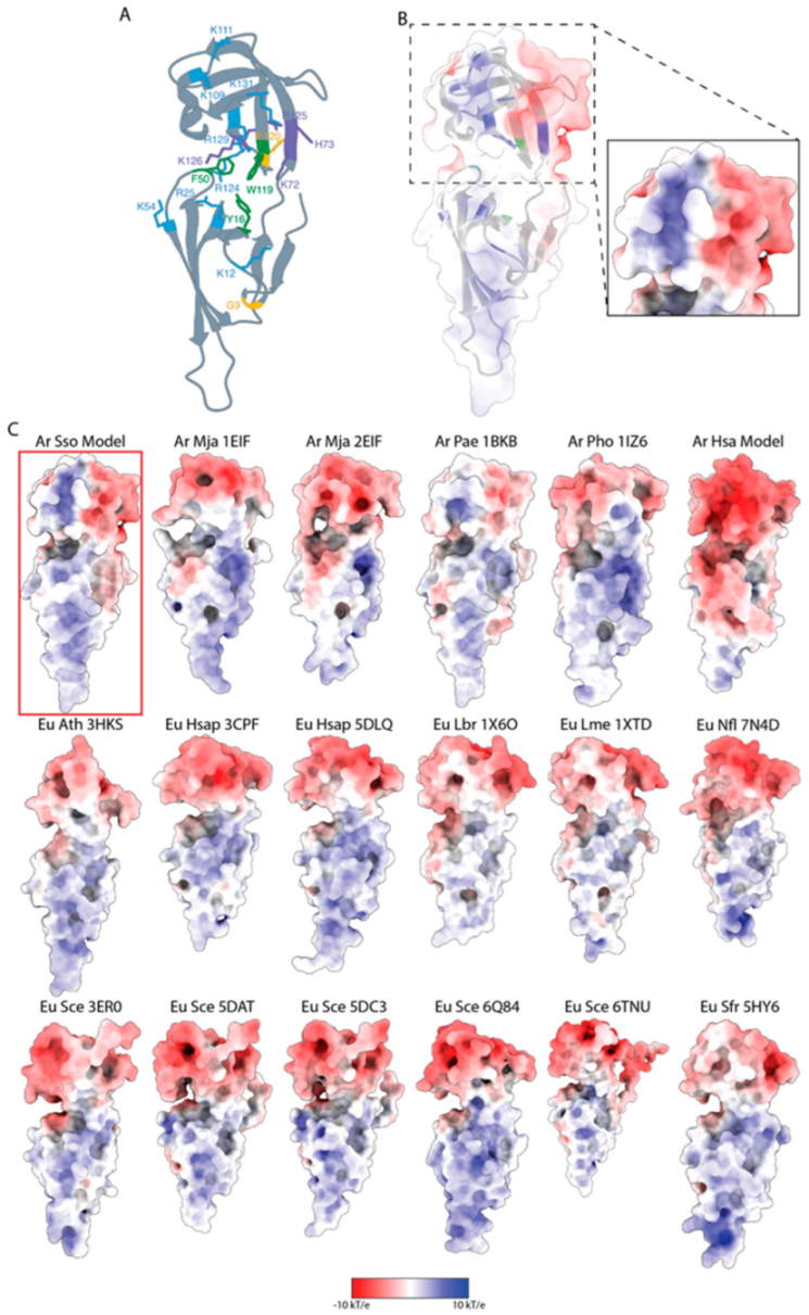 Biomolecules 12 01432 g005 Biomolecules 12 01432 g005
