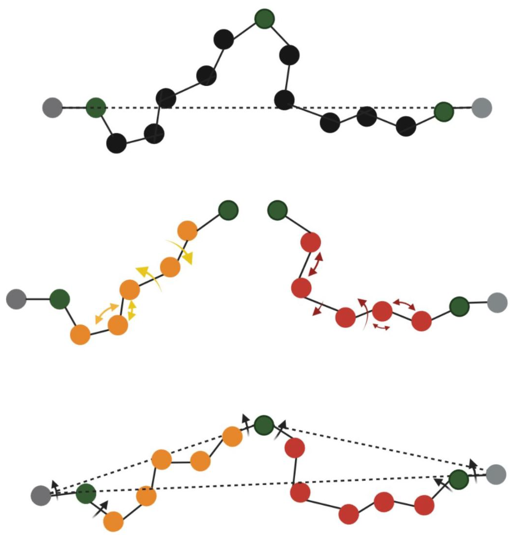 Biomolecules 12 01435 g002 Biomolecules 12 01435 g002