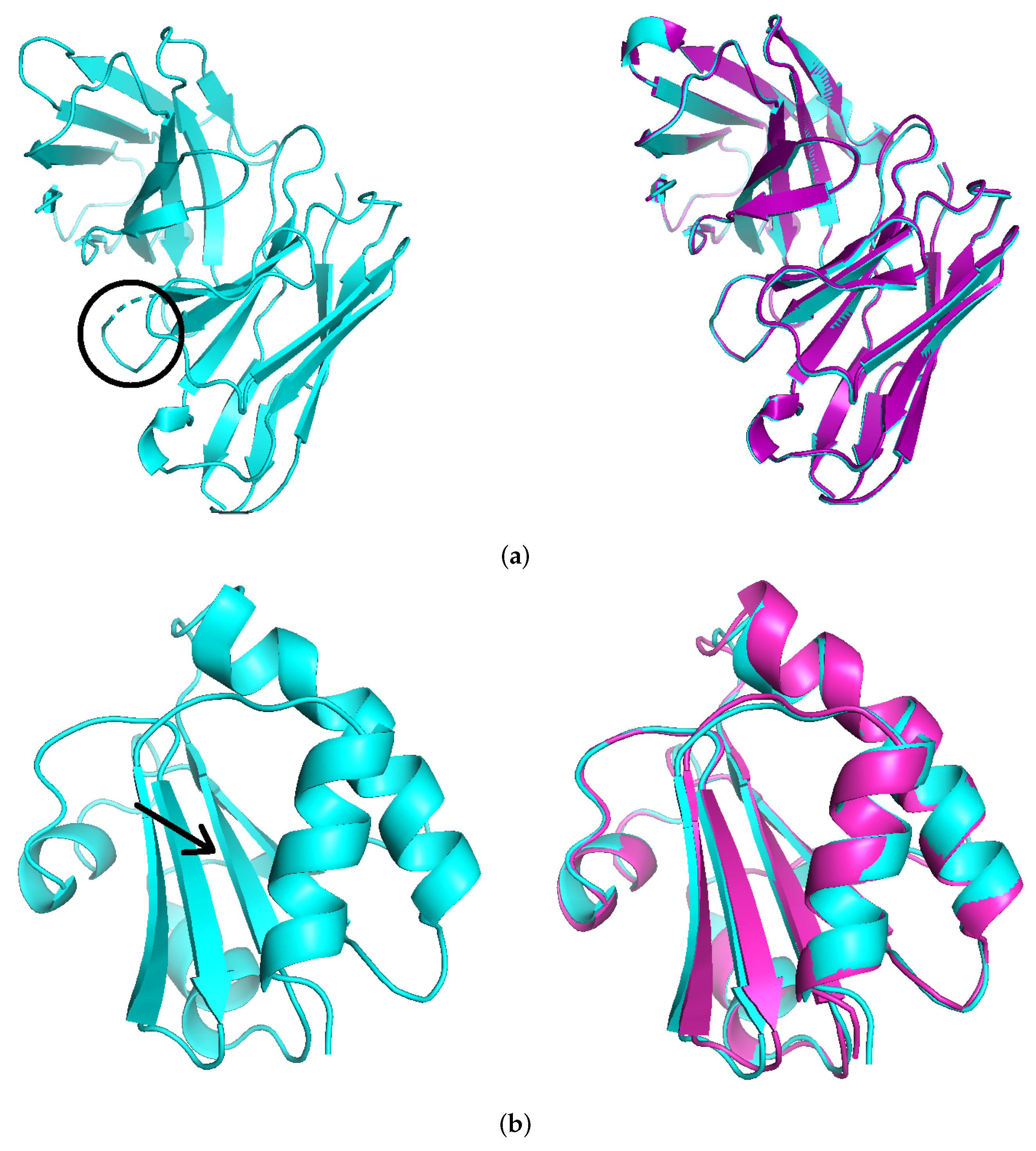 Biomolecules 12 01435 g003 Biomolecules 12 01435 g003