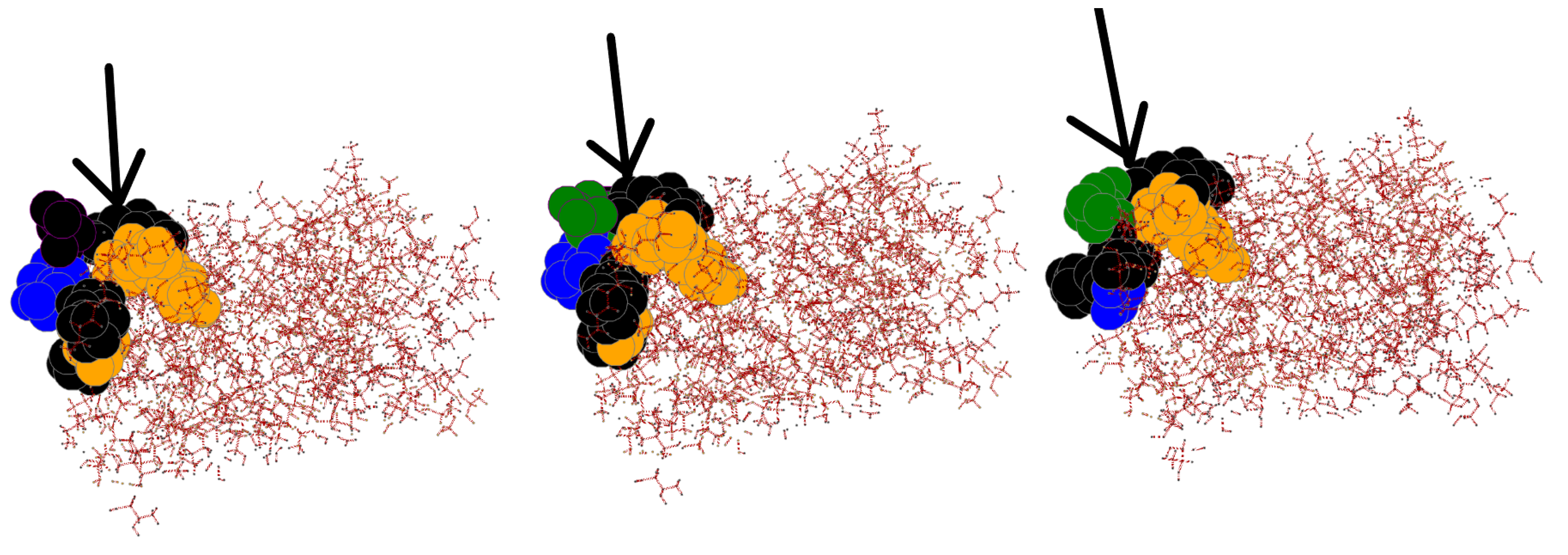 Biomolecules 12 01435 g005 Biomolecules 12 01435 g005