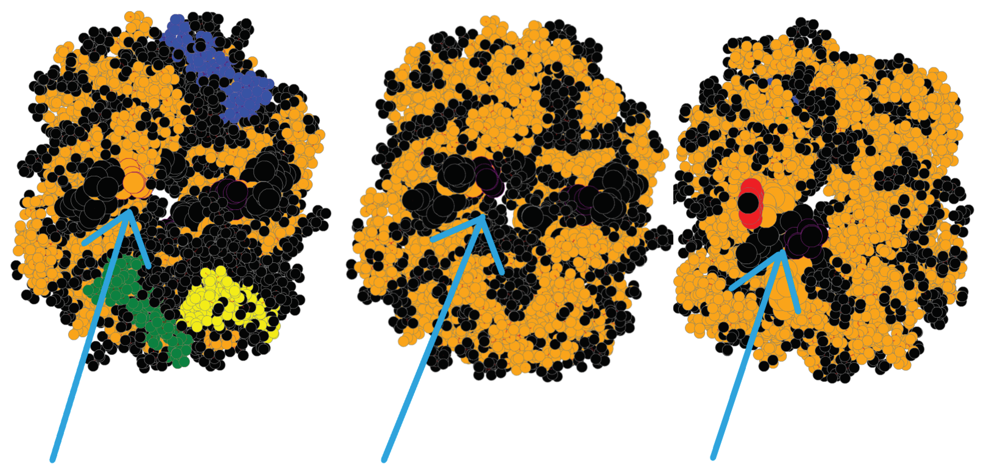 Biomolecules 12 01435 g006 Biomolecules 12 01435 g006