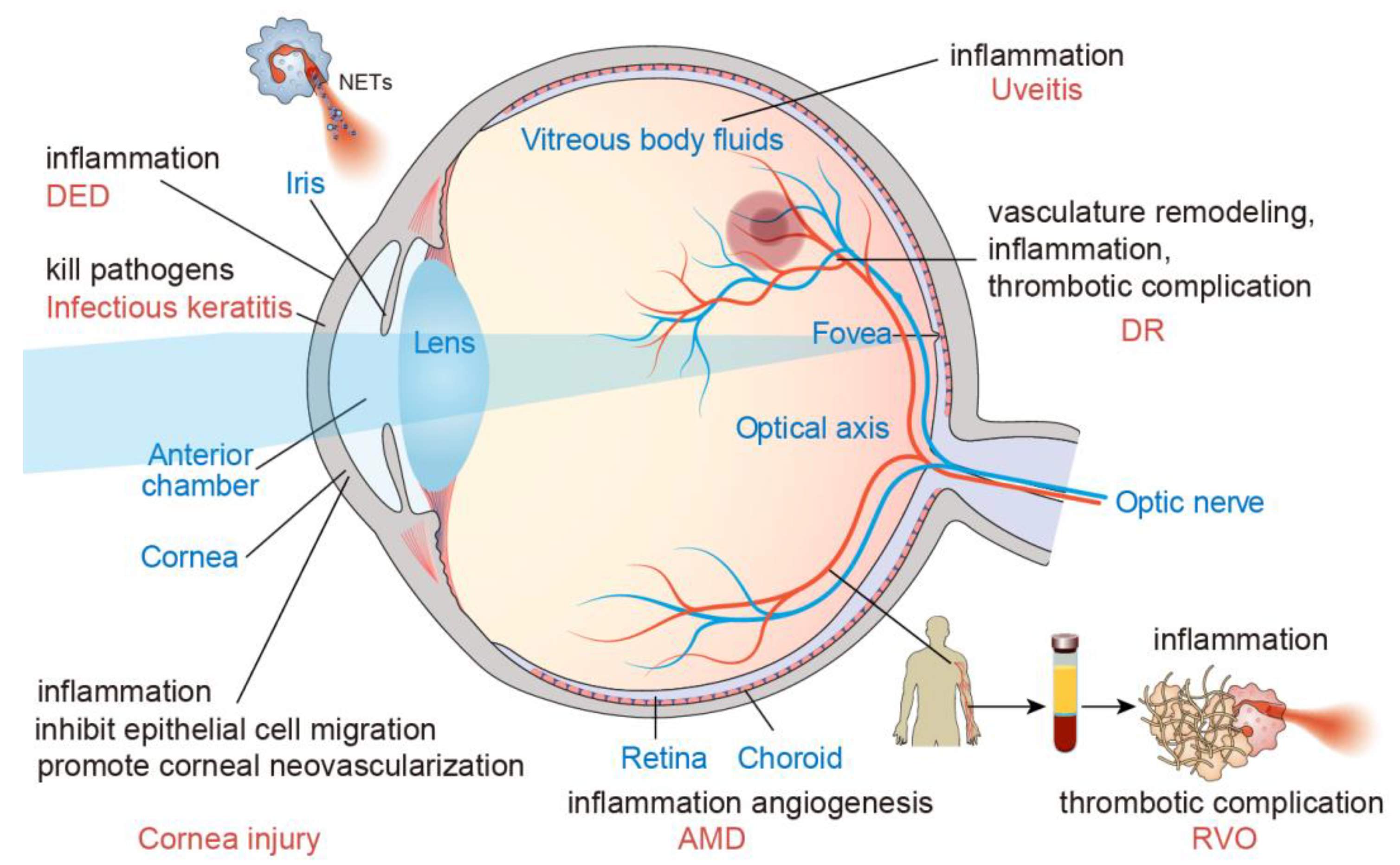 Biomolecules 12 01440 g002