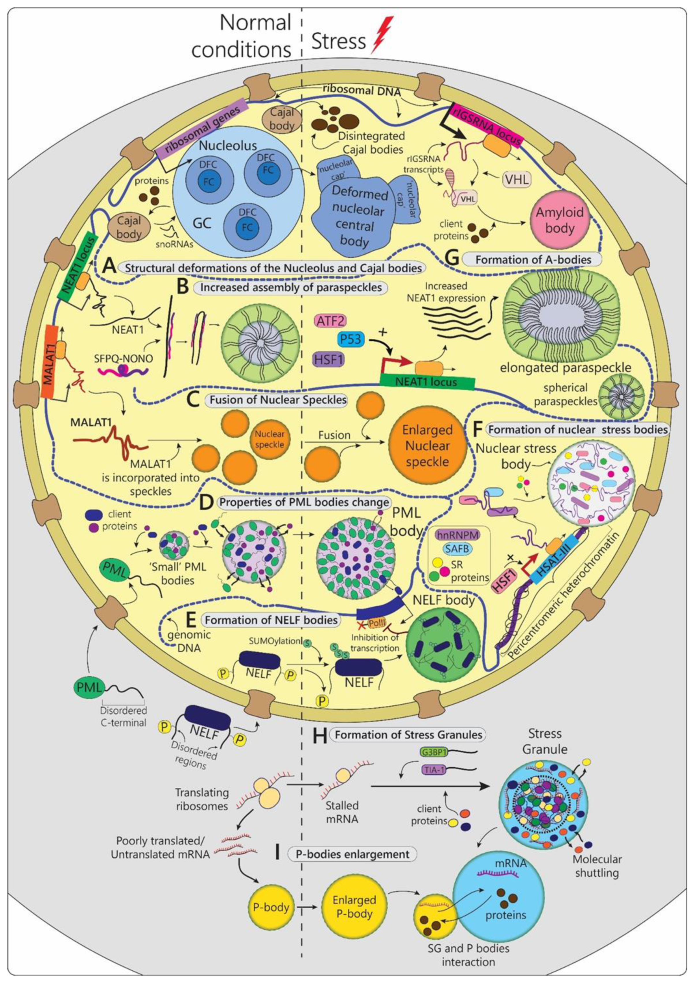 Biomolecules 12 01441 g001 Biomolecules 12 01441 g001