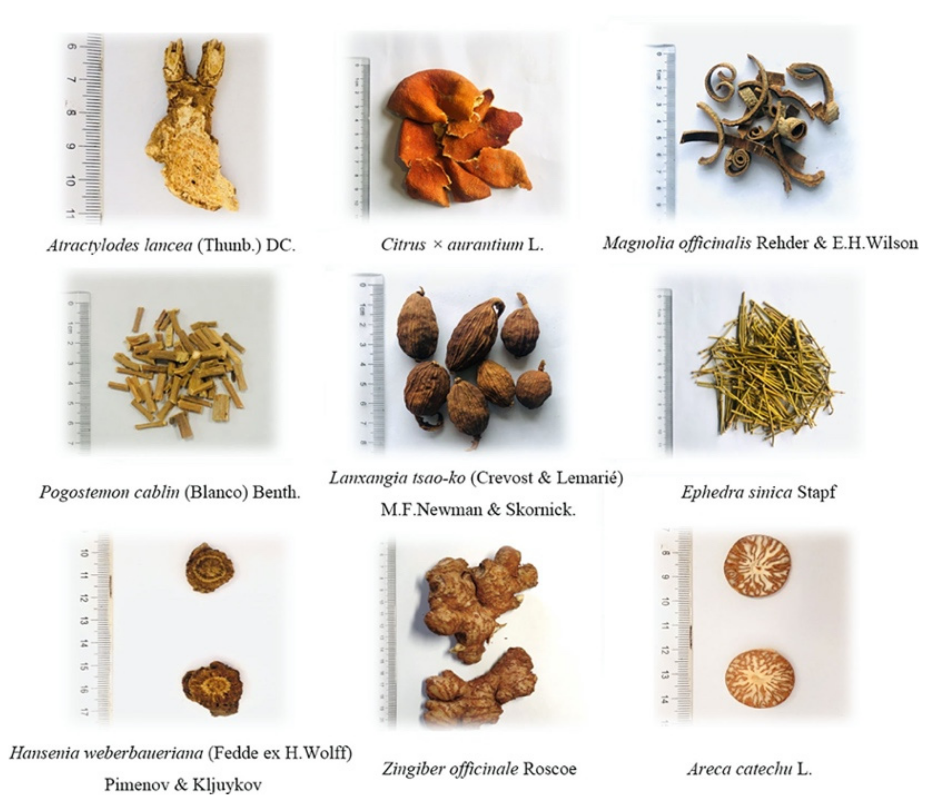 Biomolecules 12 01442 g003