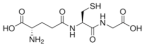 Biomolecules 12 01443 i002 Biomolecules 12 01443 i002
