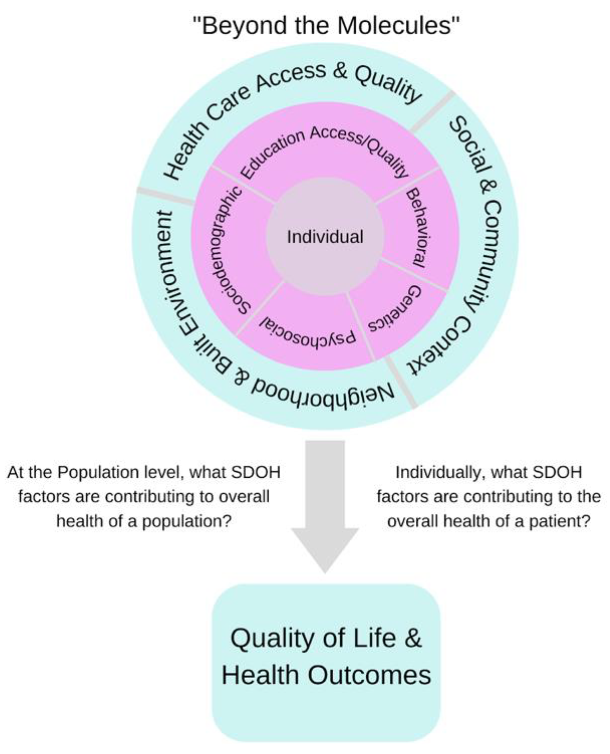 Biomolecules 12 01449 g001 Biomolecules 12 01449 g001