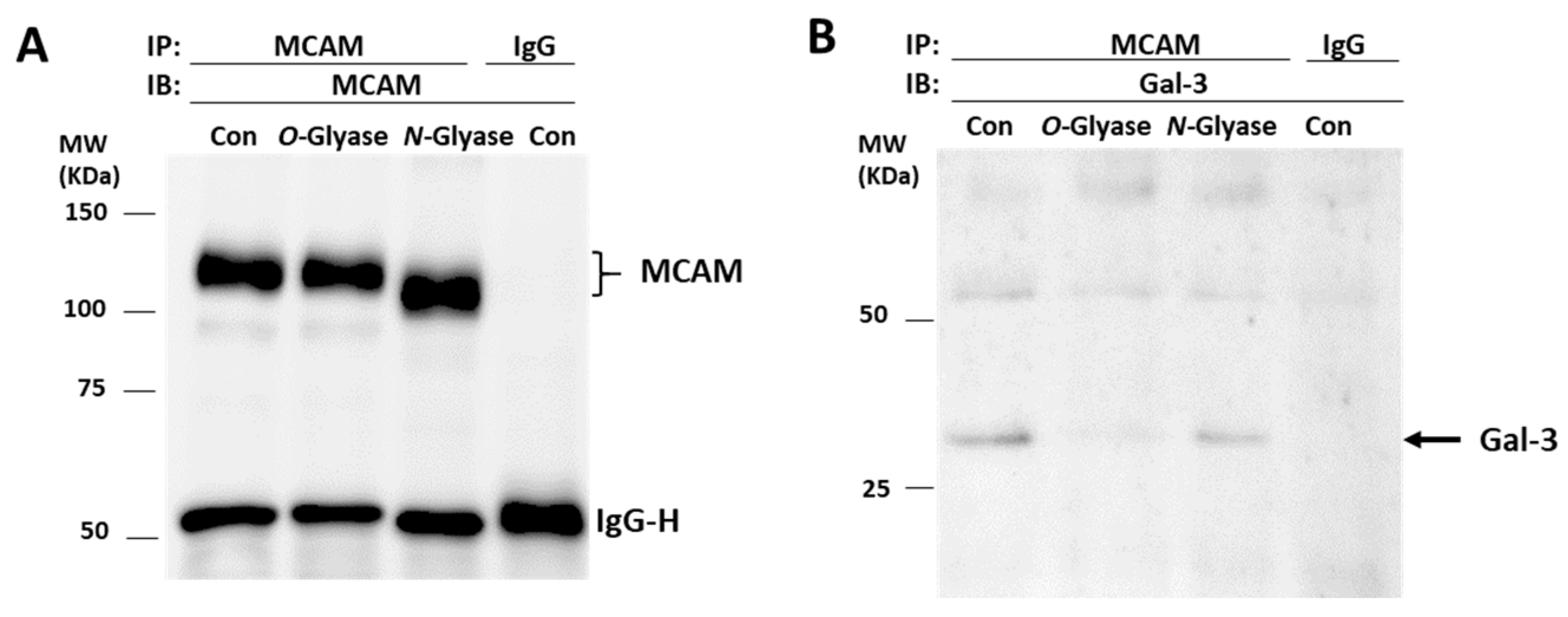 Biomolecules 12 01451 g004