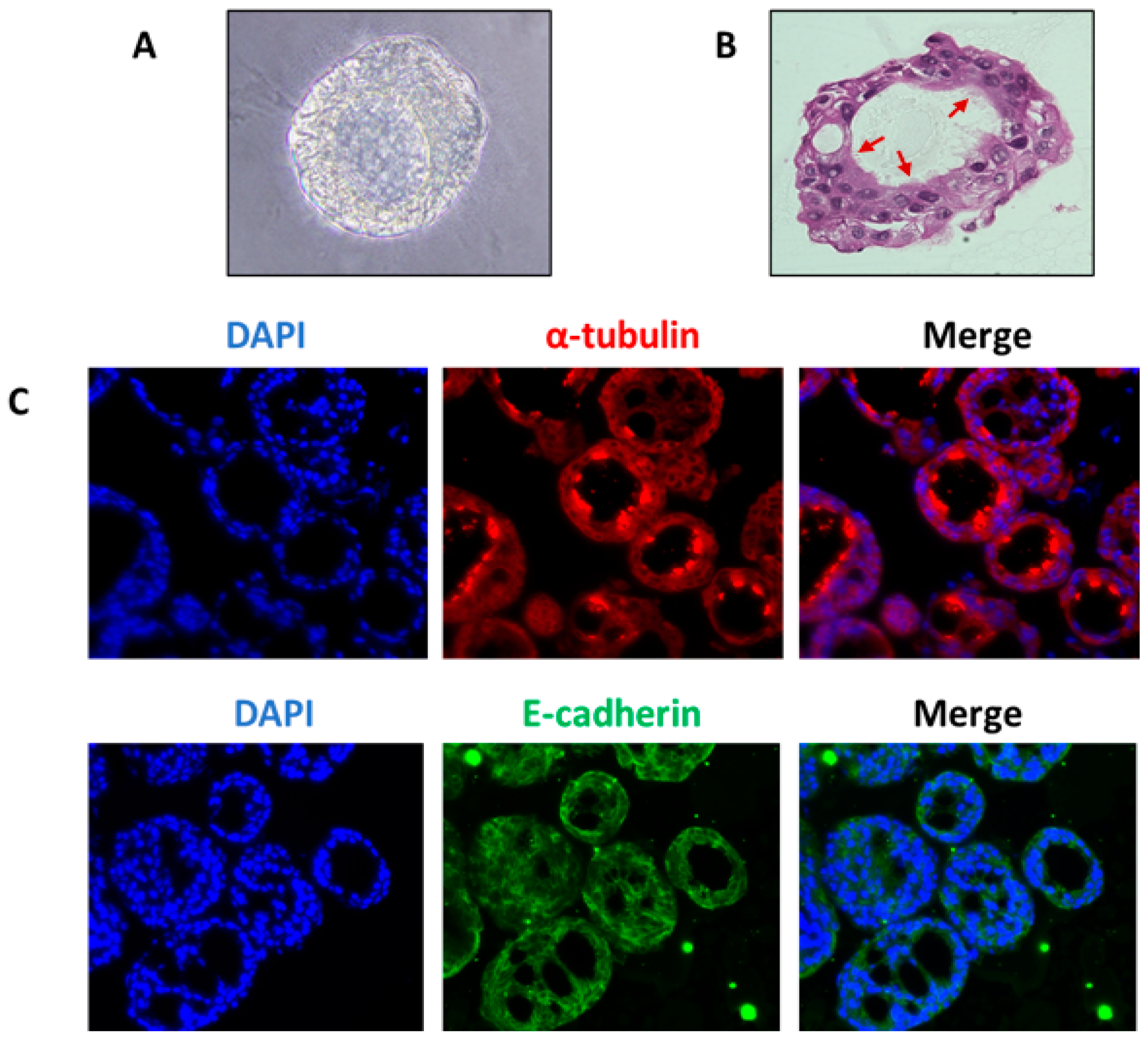 Biomolecules 12 01463 g003