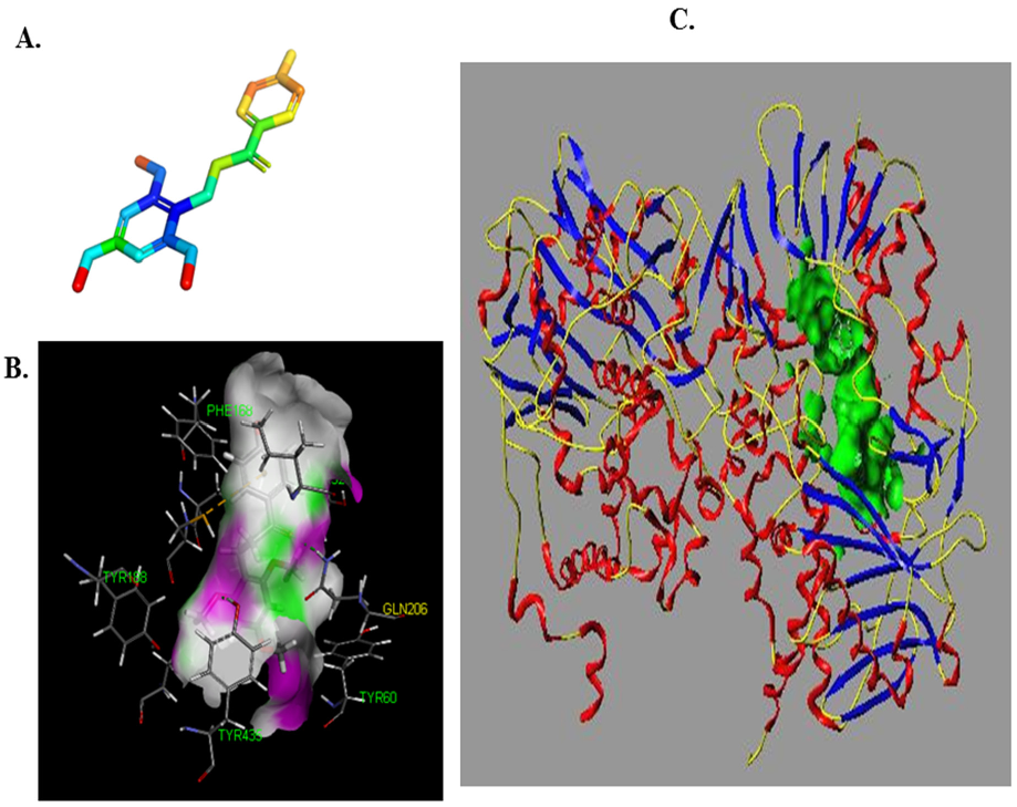 Biomolecules 12 01470 g006