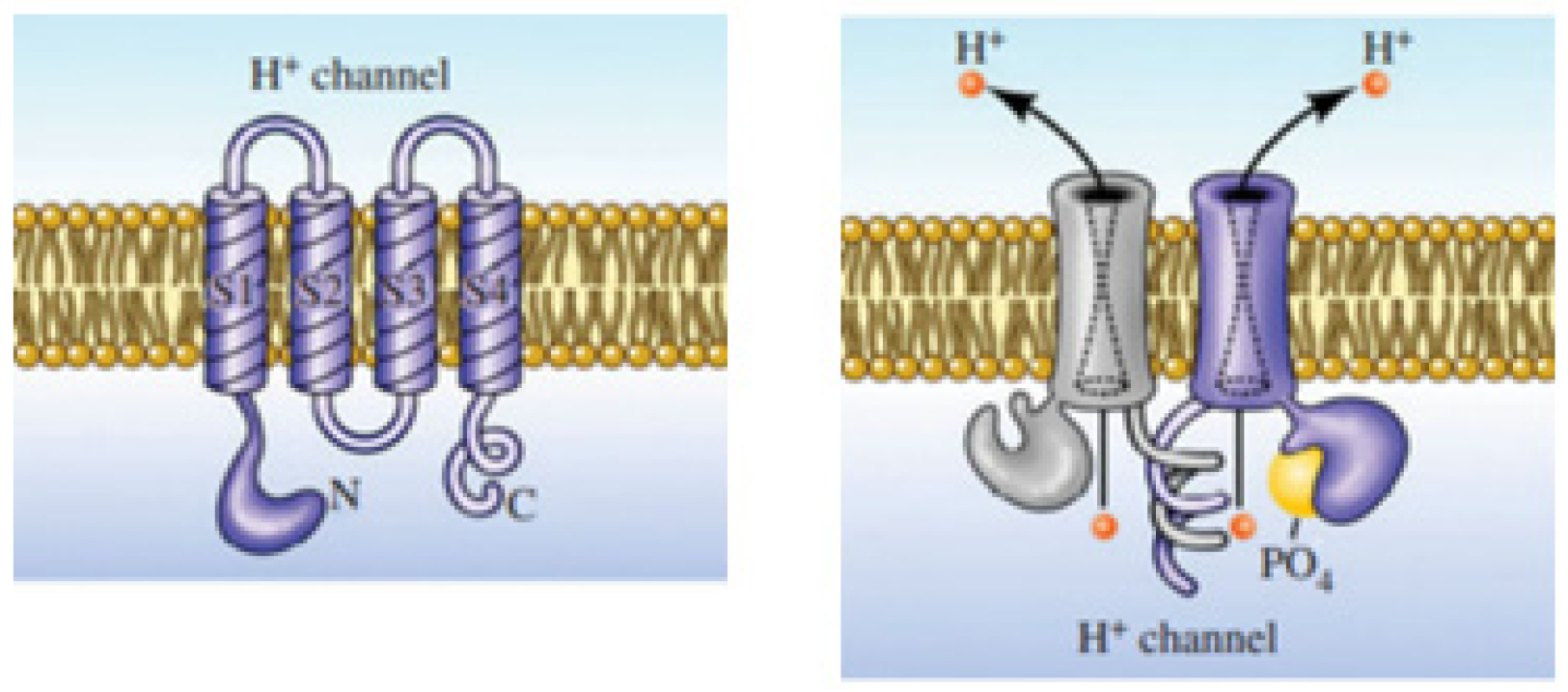 Biomolecules 12 01473 g003