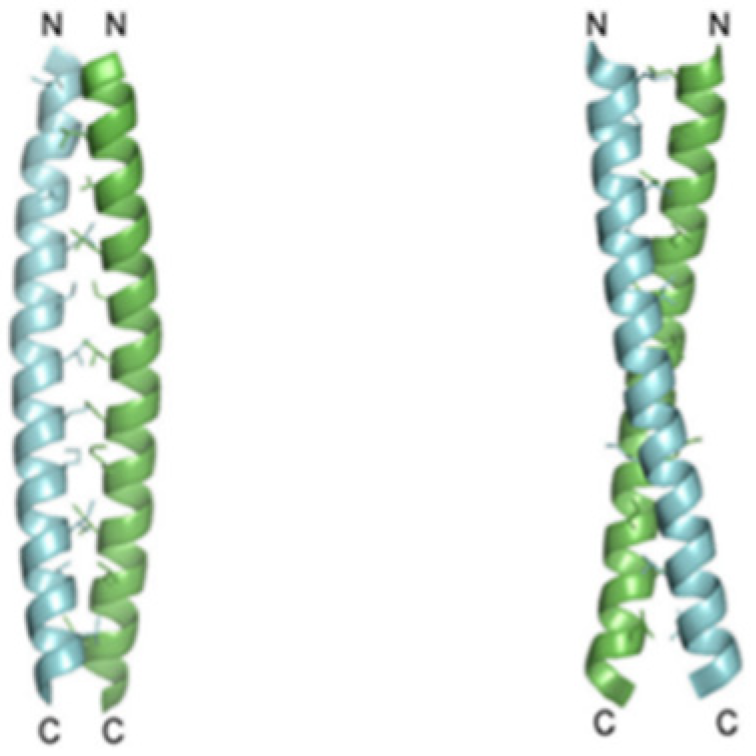 Biomolecules 12 01473 g004