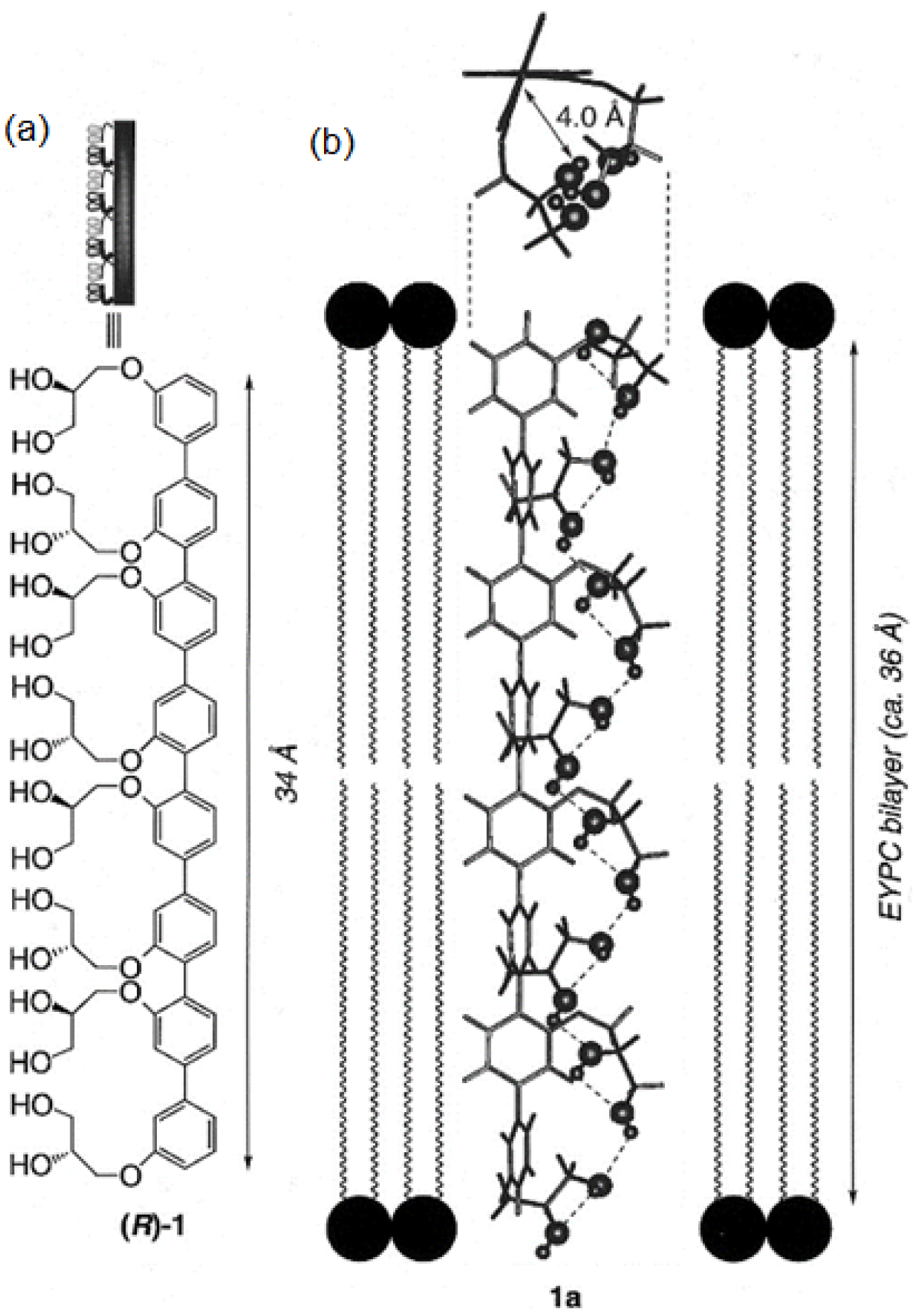 Biomolecules 12 01473 g008