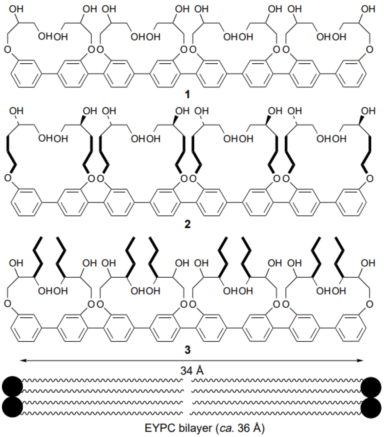 Biomolecules 12 01473 g009