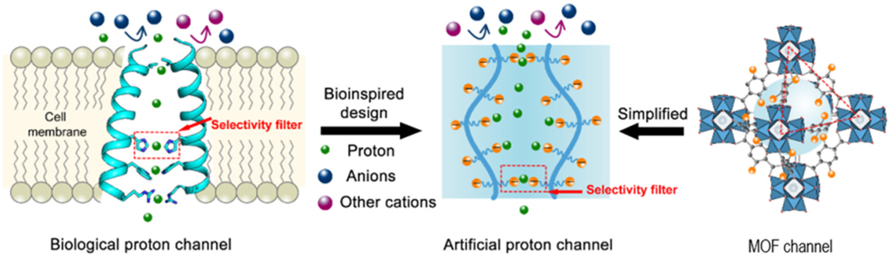 Biomolecules 12 01473 g010