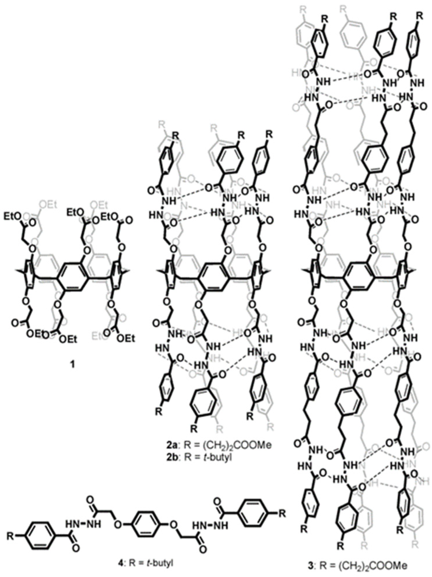 Biomolecules 12 01473 g011