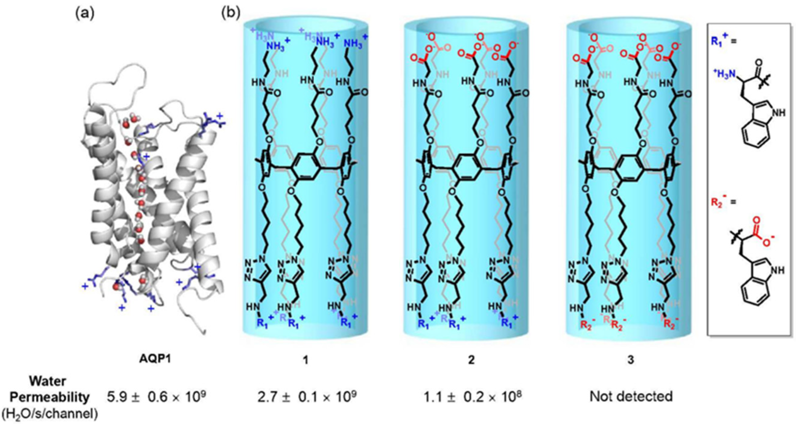 Biomolecules 12 01473 g012