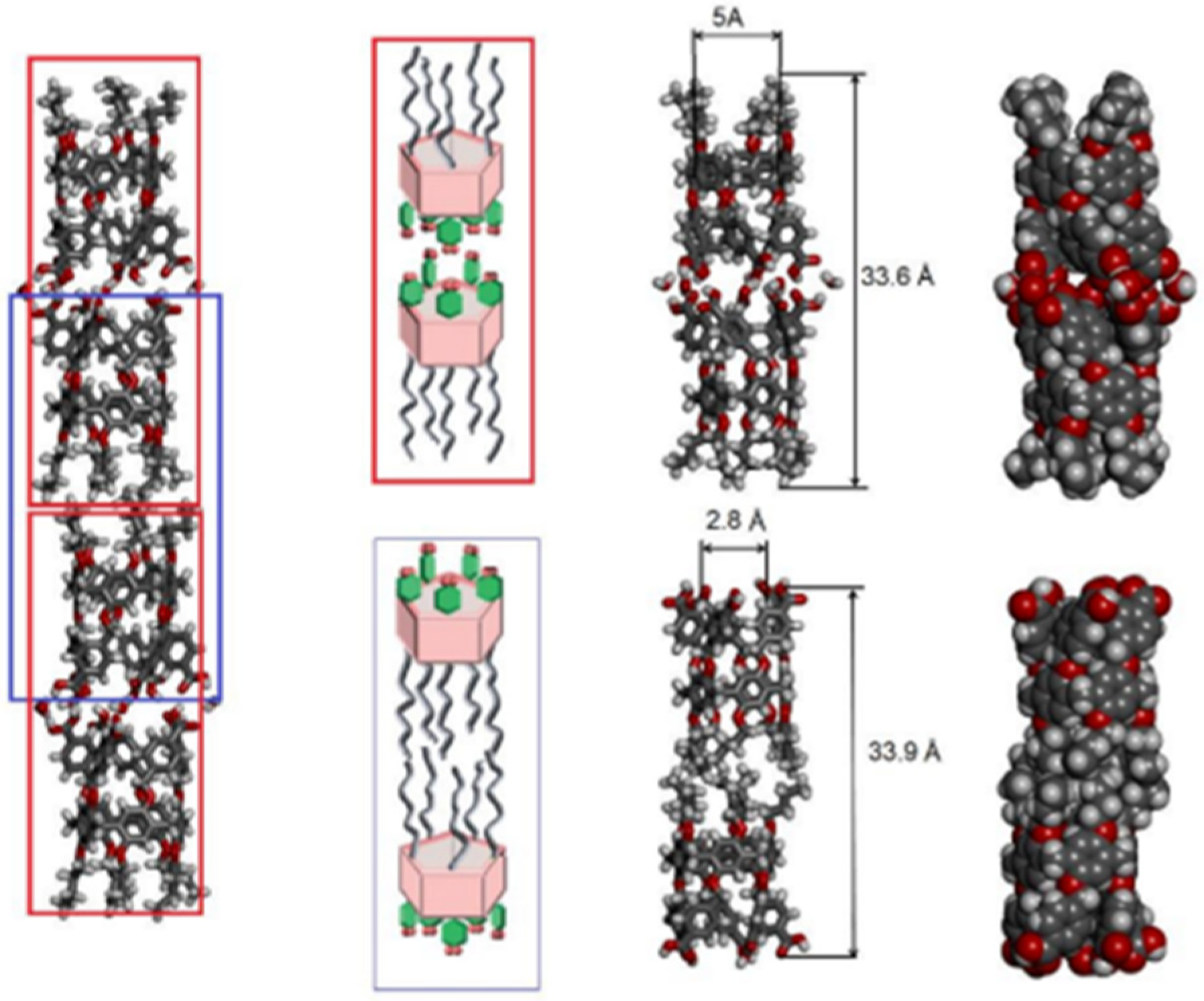 Biomolecules 12 01473 g013