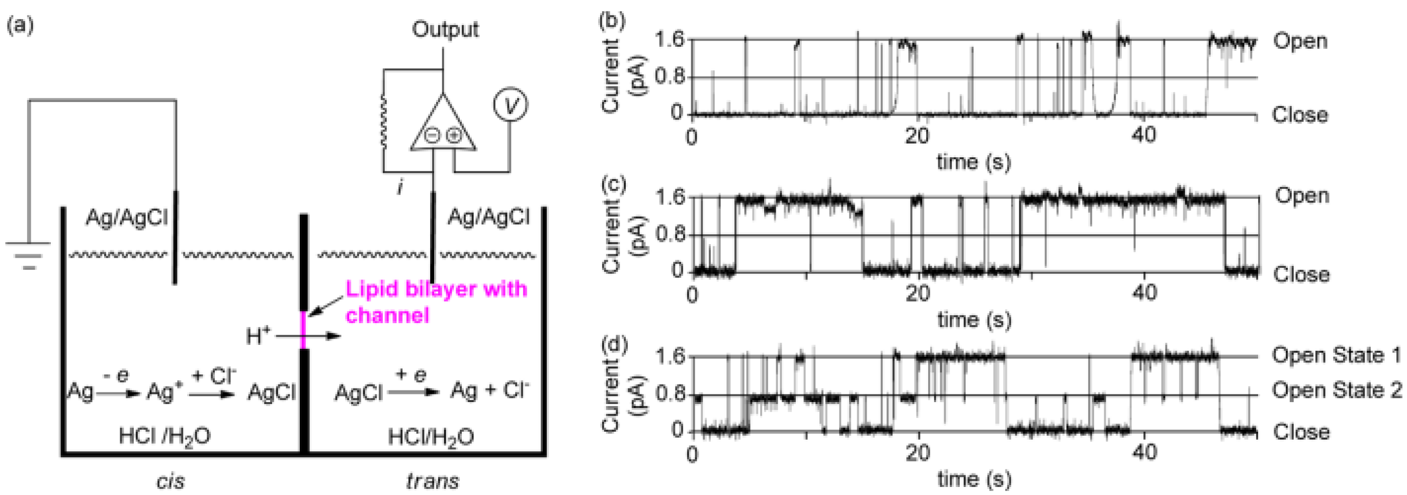 Biomolecules 12 01473 g014