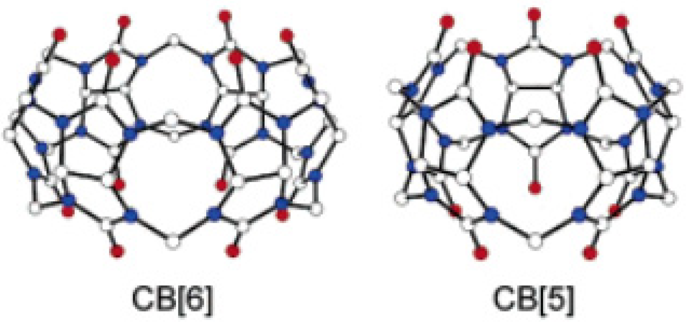 Biomolecules 12 01473 g016