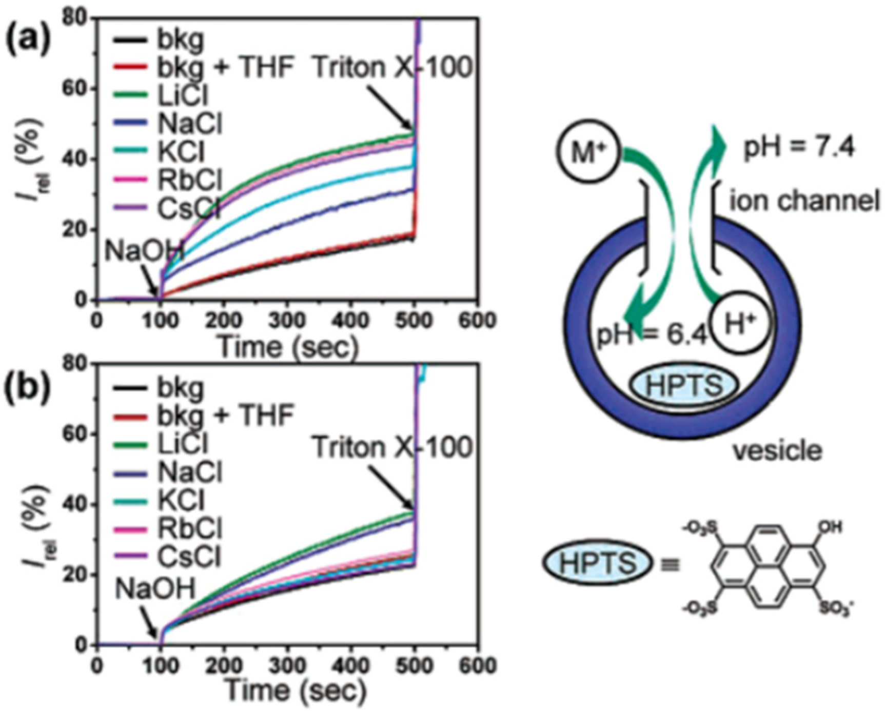 Biomolecules 12 01473 g017