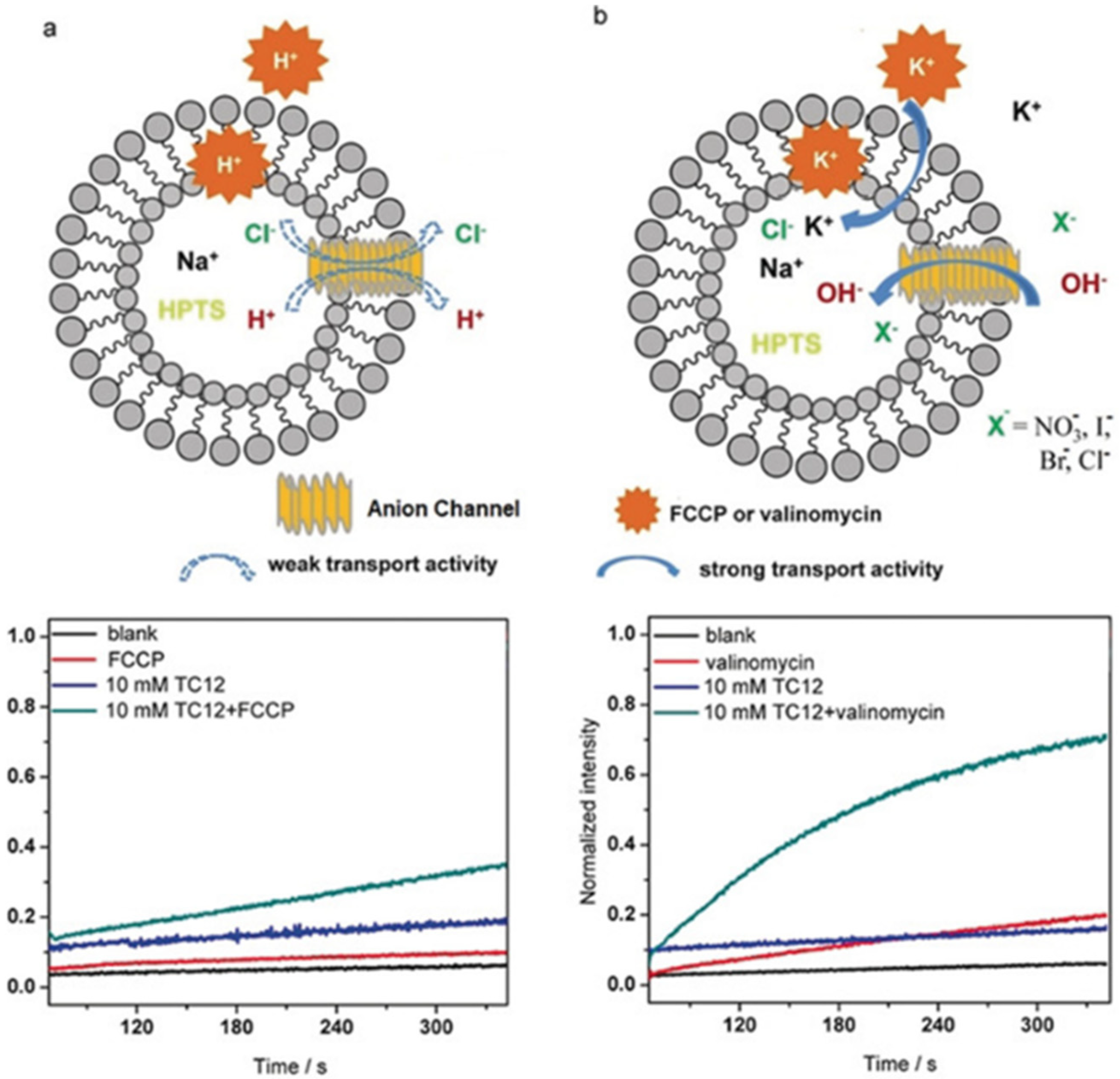 Biomolecules 12 01473 g021