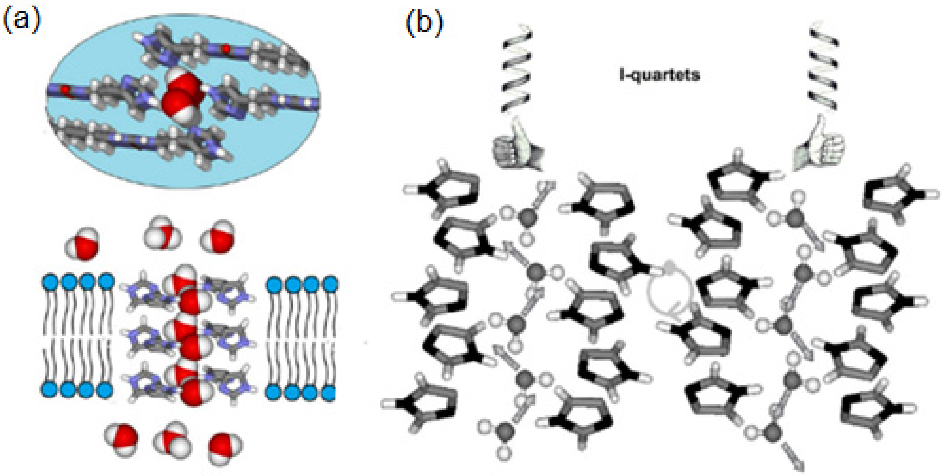 Biomolecules 12 01473 g022