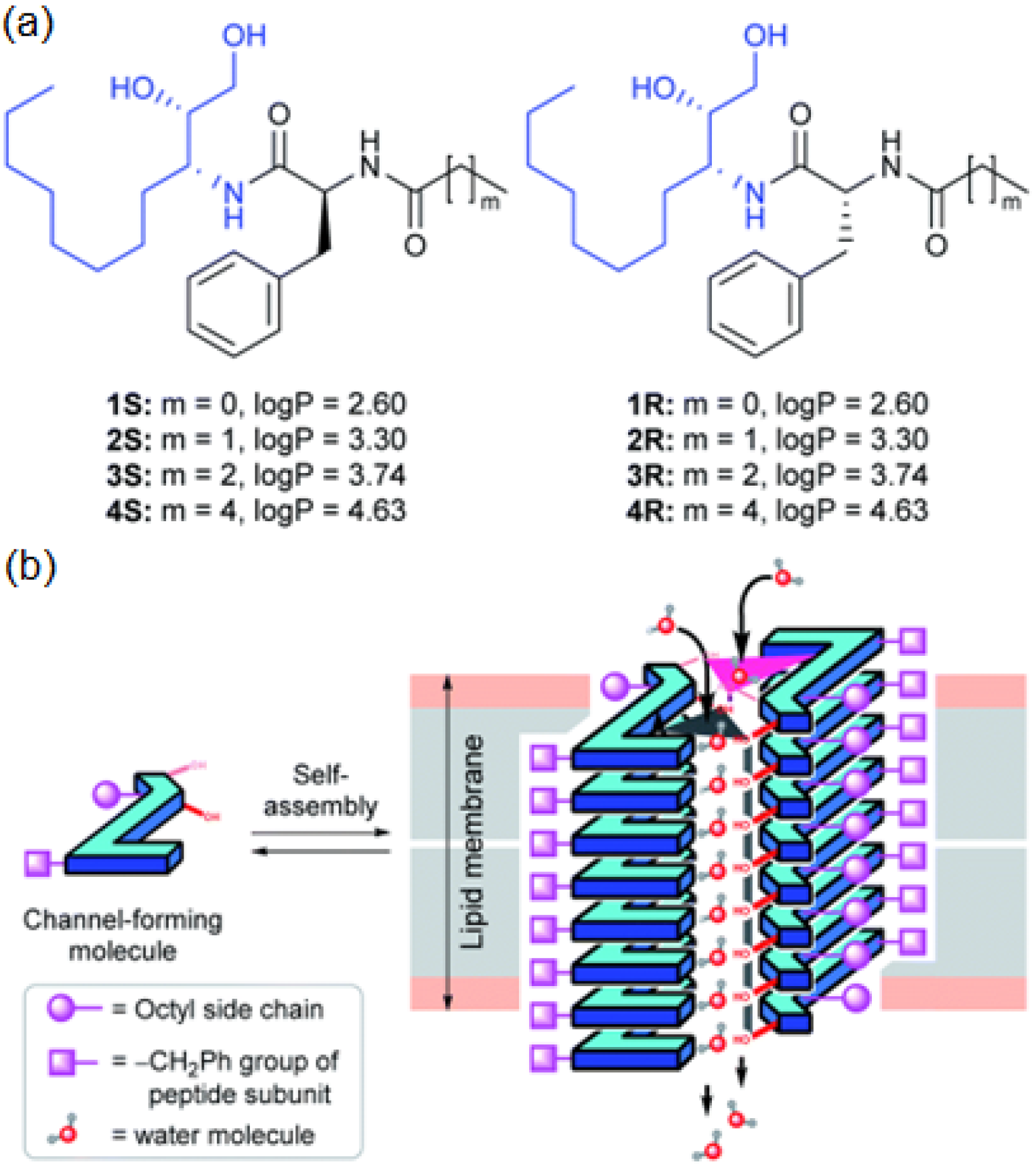 Biomolecules 12 01473 g024
