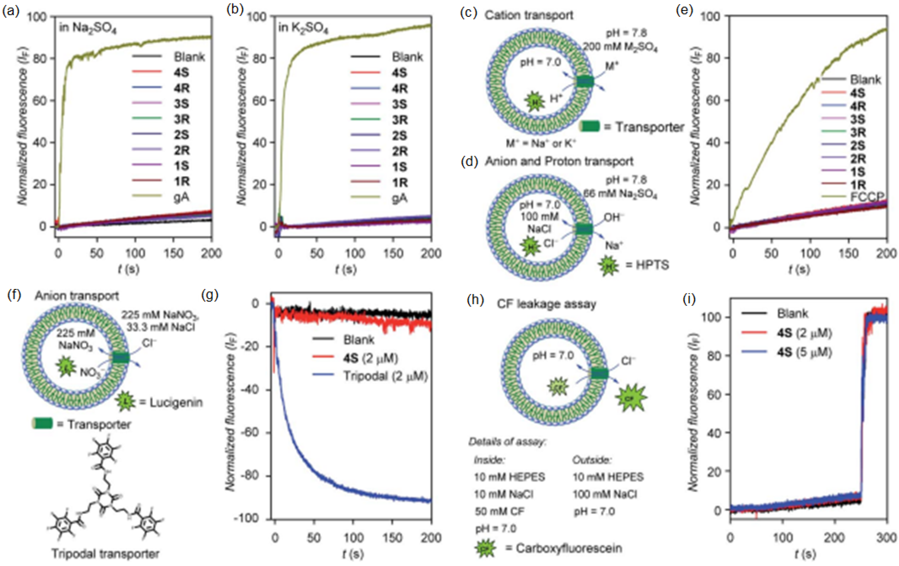 Biomolecules 12 01473 g025