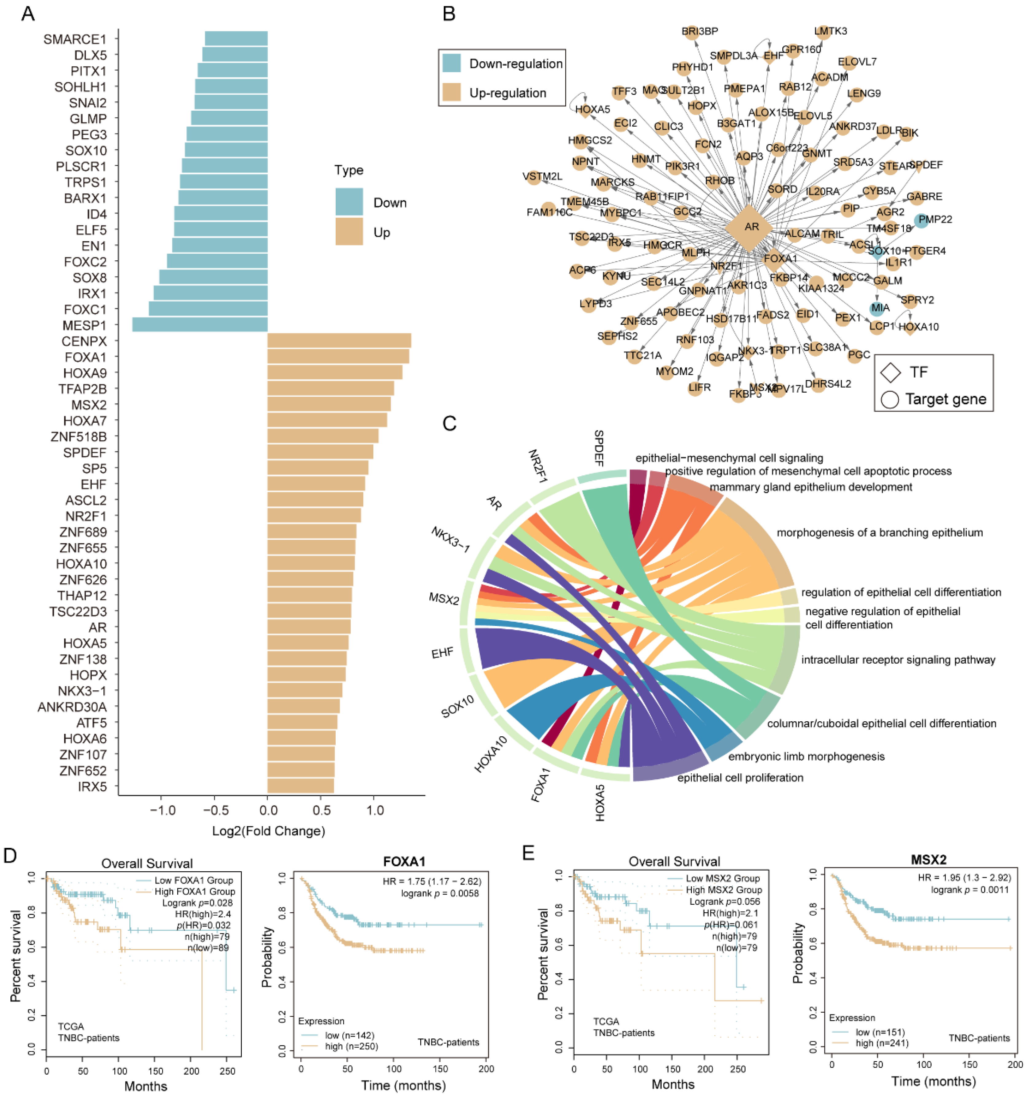 Biomolecules 12 01478 g005