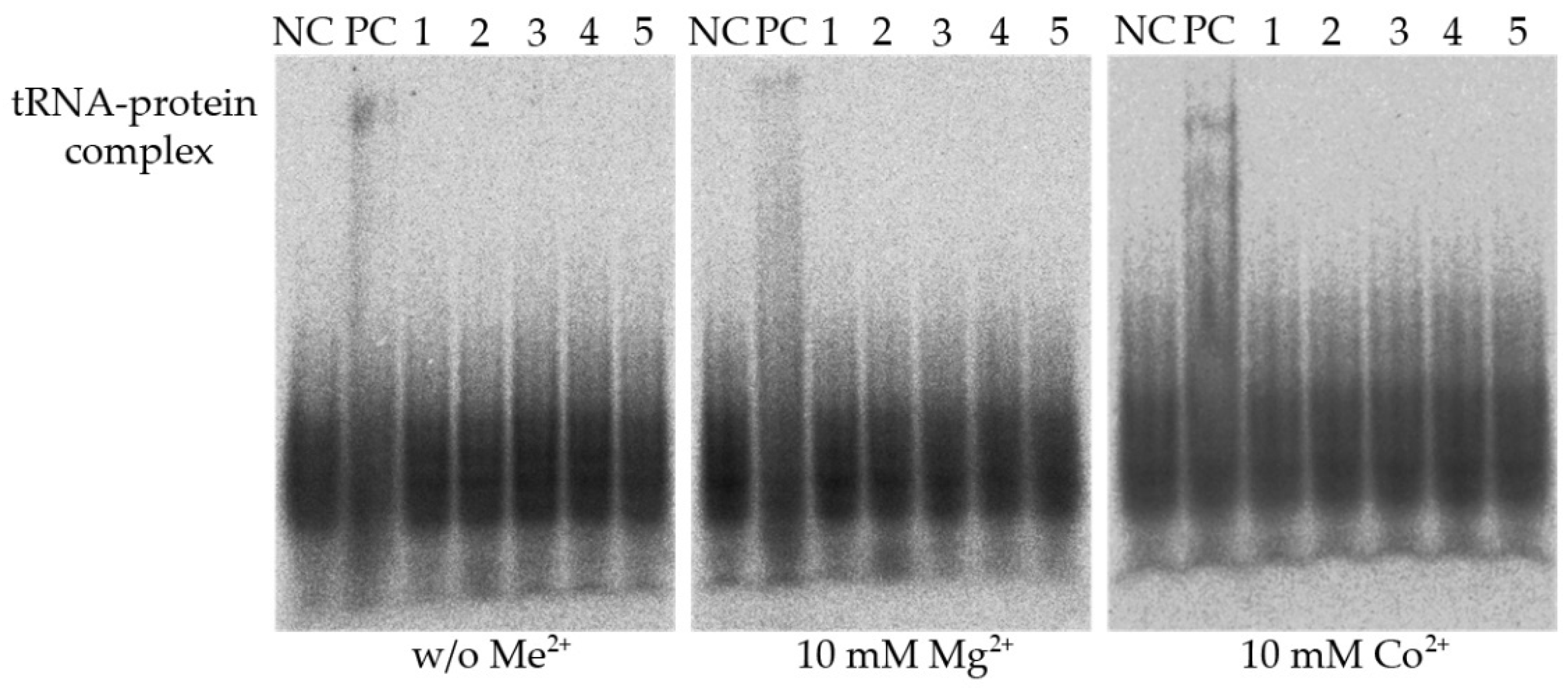 Biomolecules 12 01492 g001 Biomolecules 12 01492 g001
