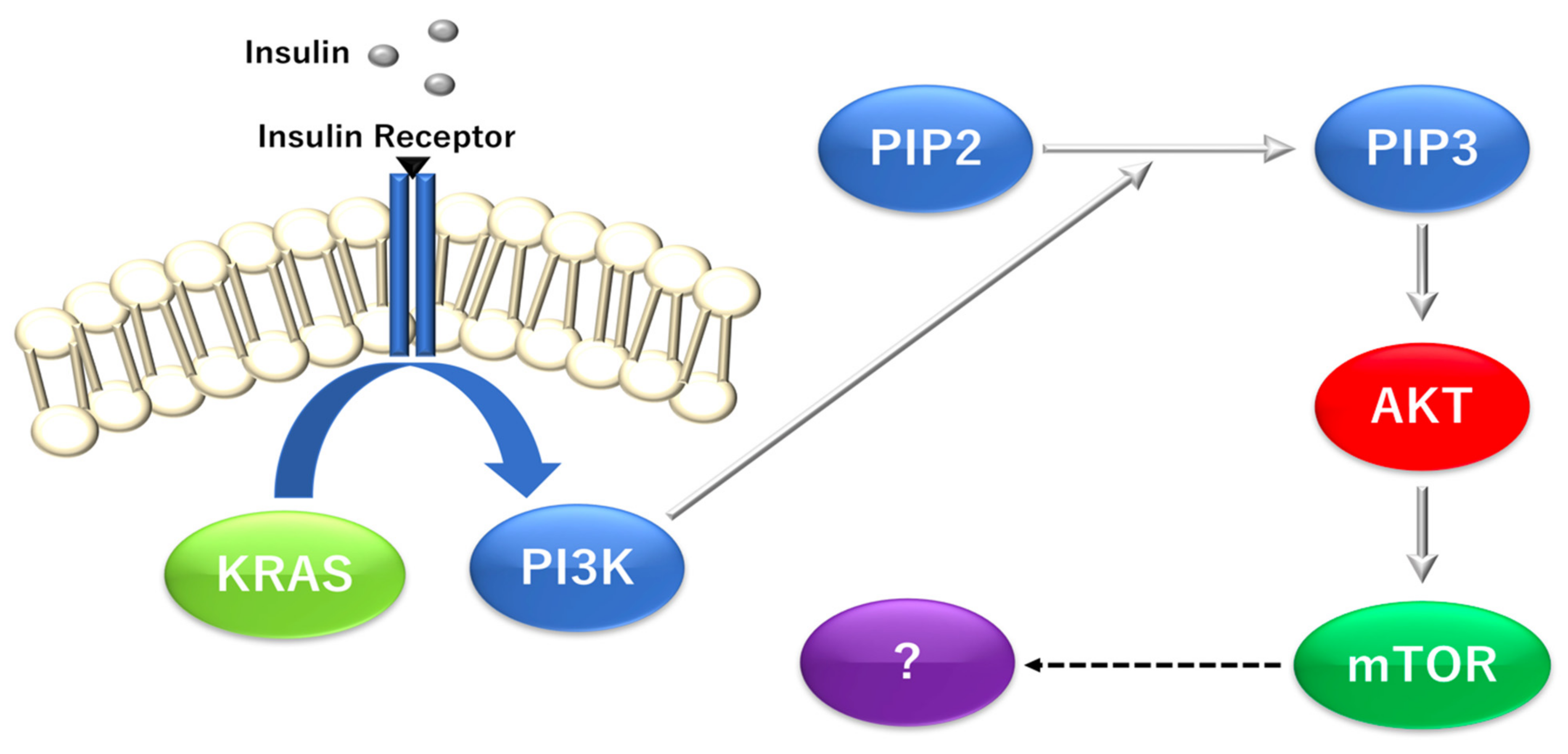 Biomolecules 12 01503 g003