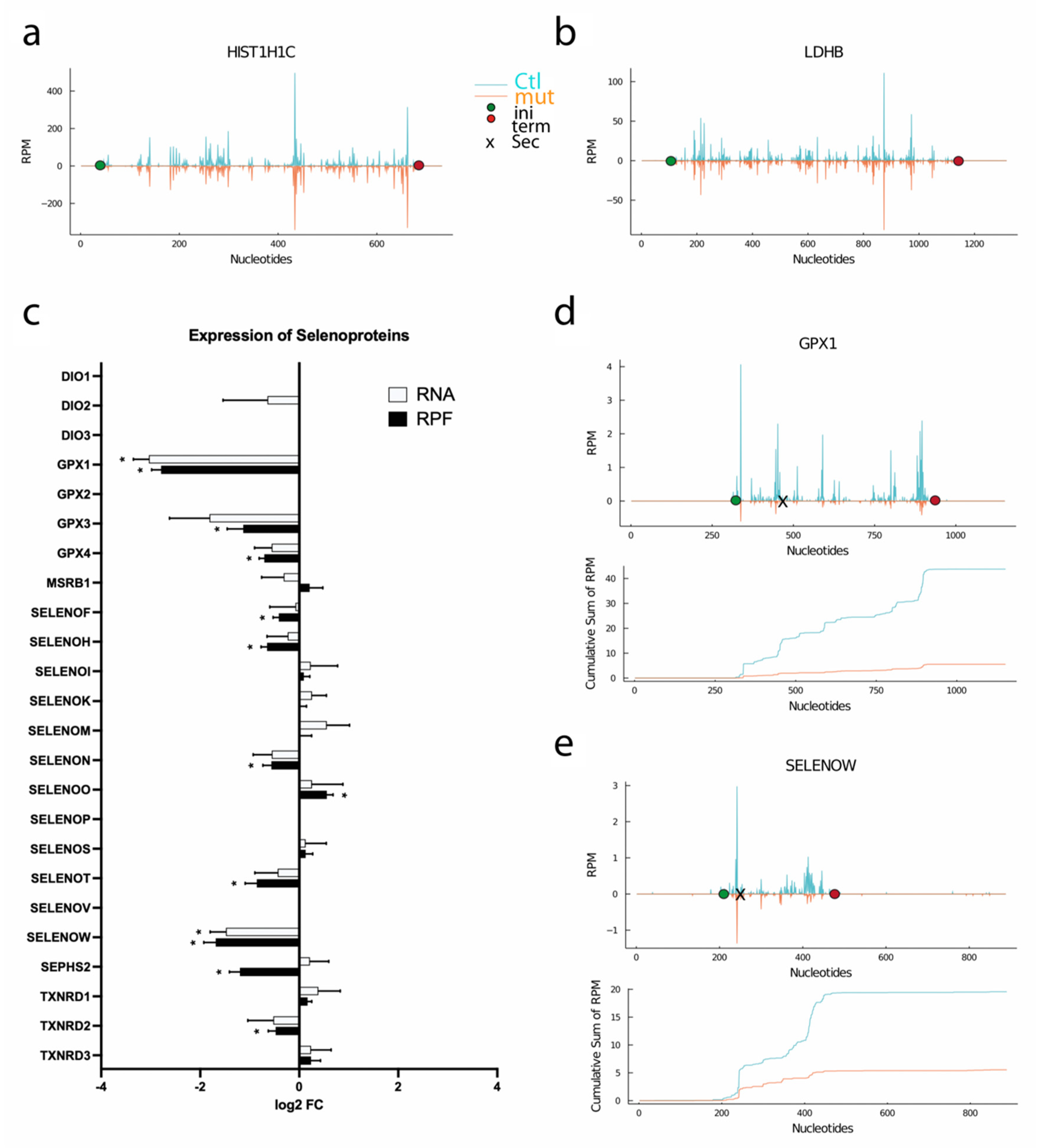 Biomolecules 12 01504 g002 Biomolecules 12 01504 g002